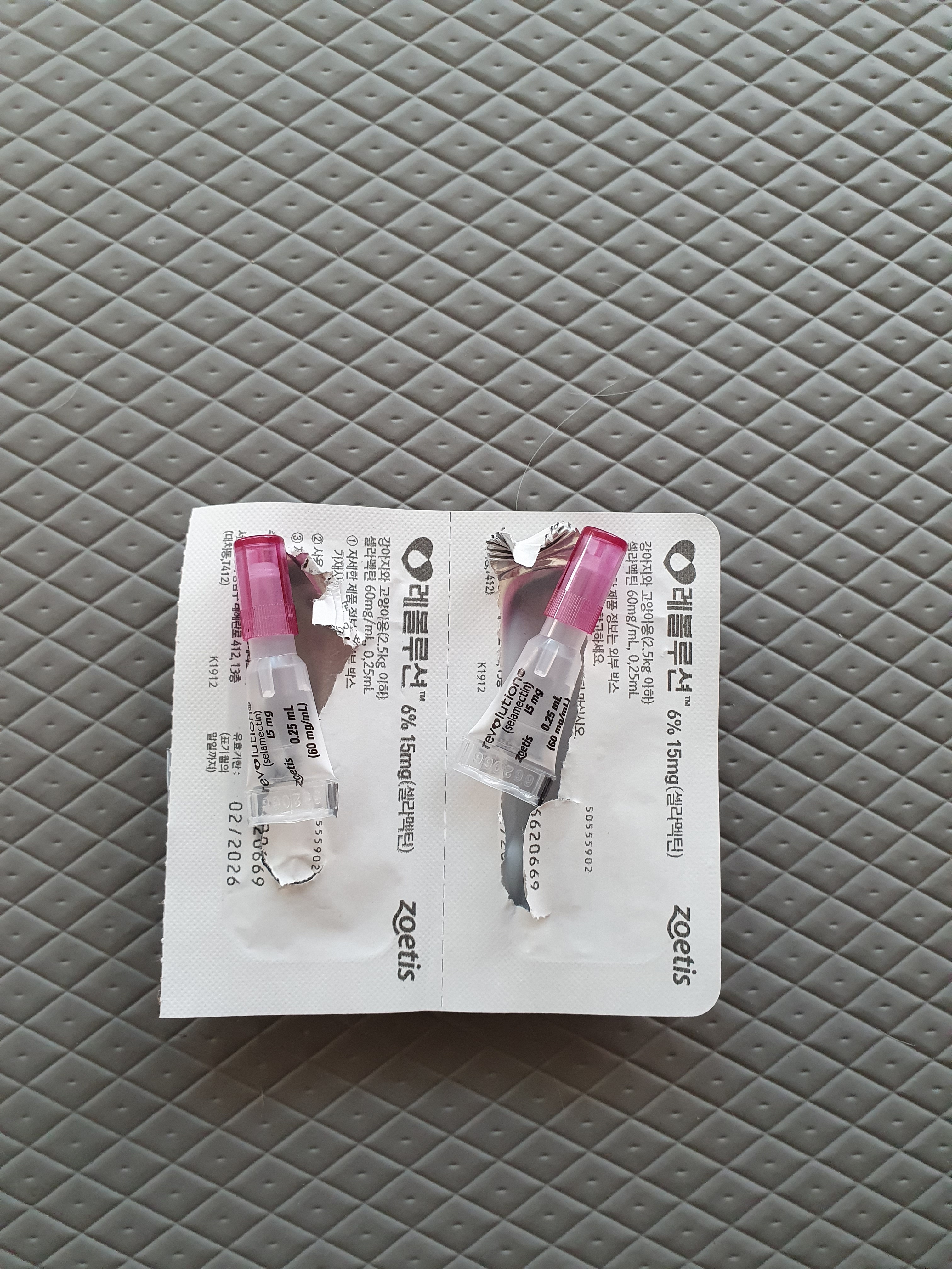 행복플러스동물병원 사진 2