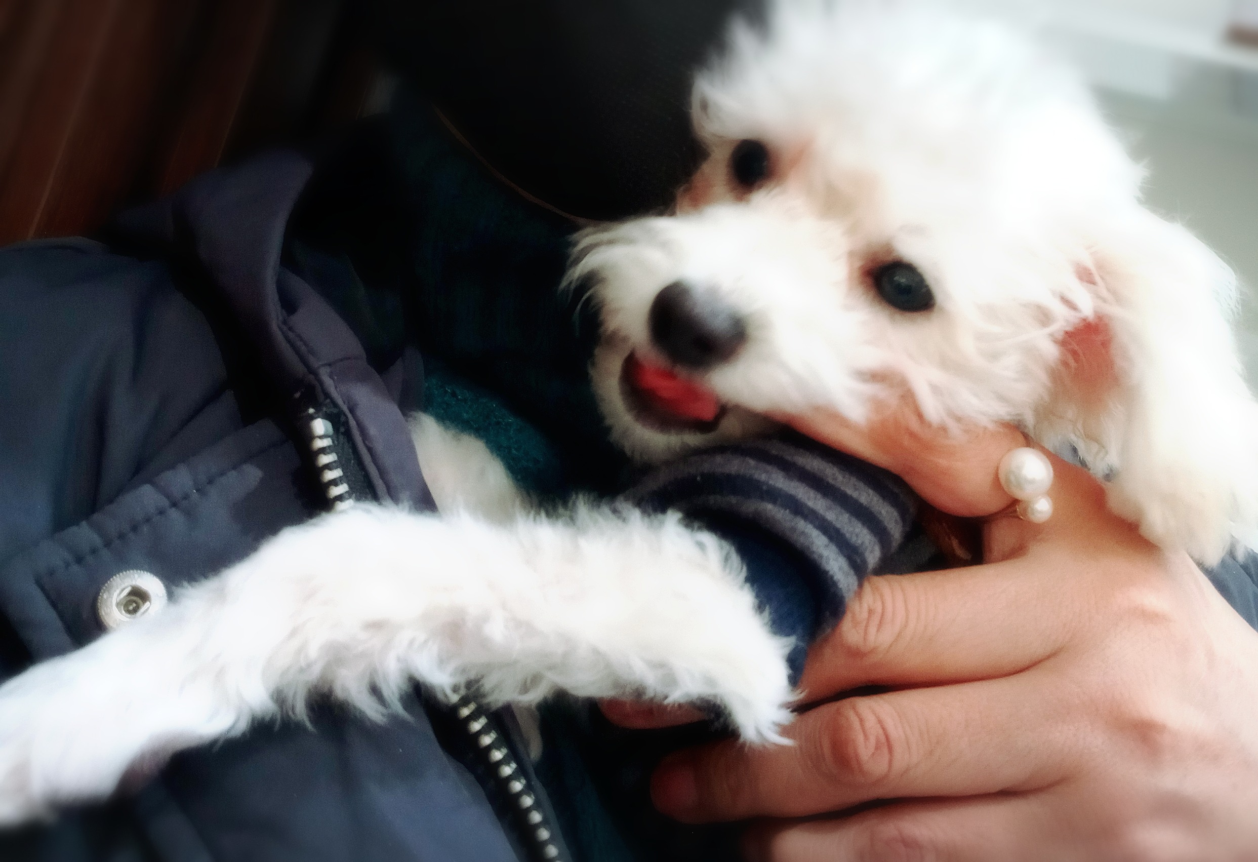 리뷰 사진 2