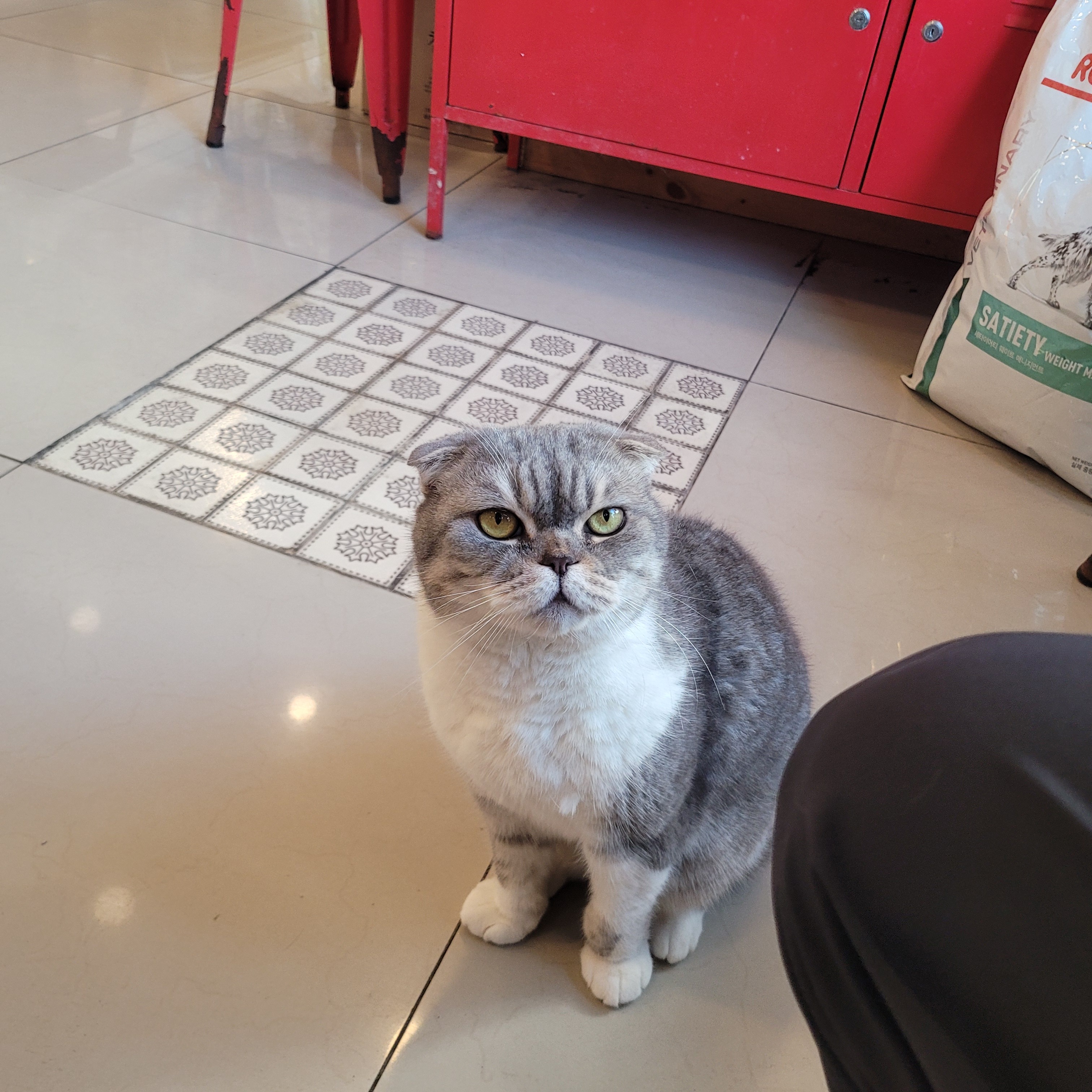 리뷰 사진 1