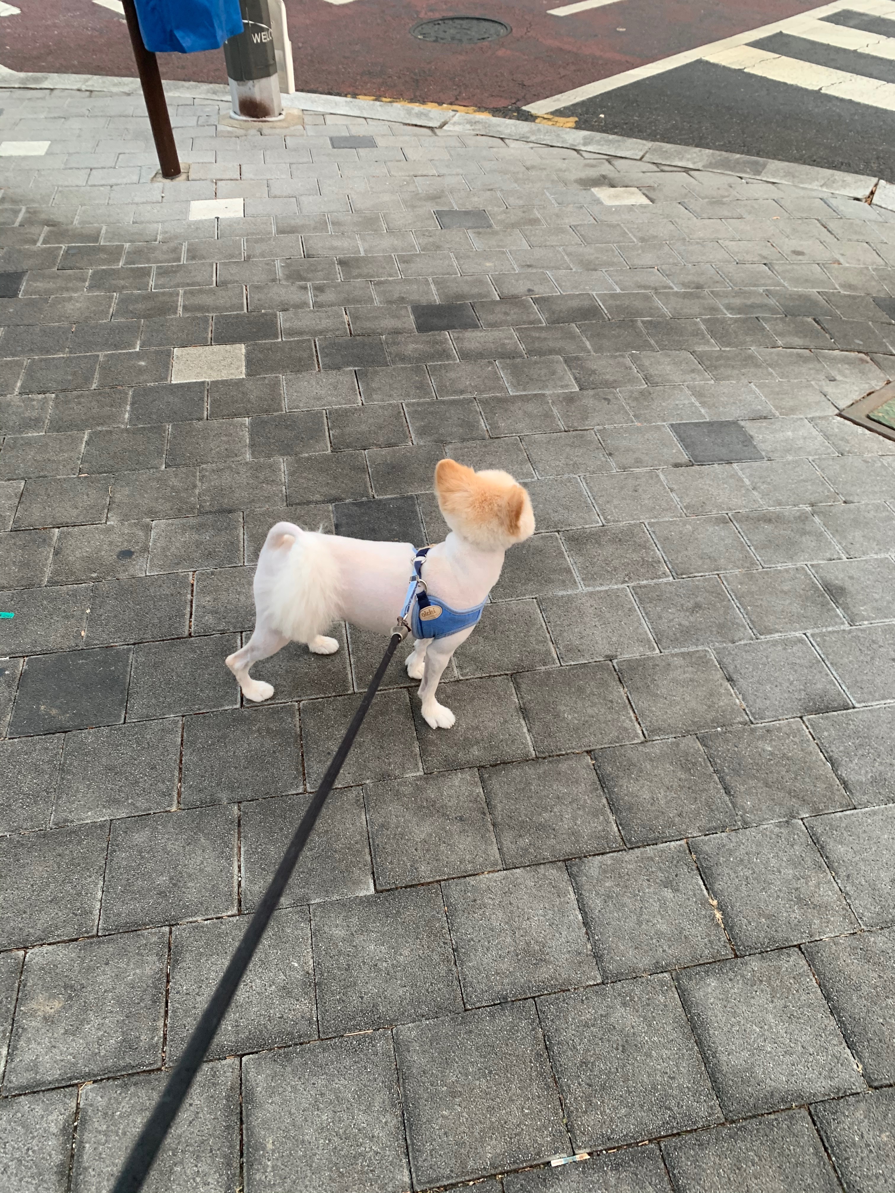 호수동물병원 사진 2