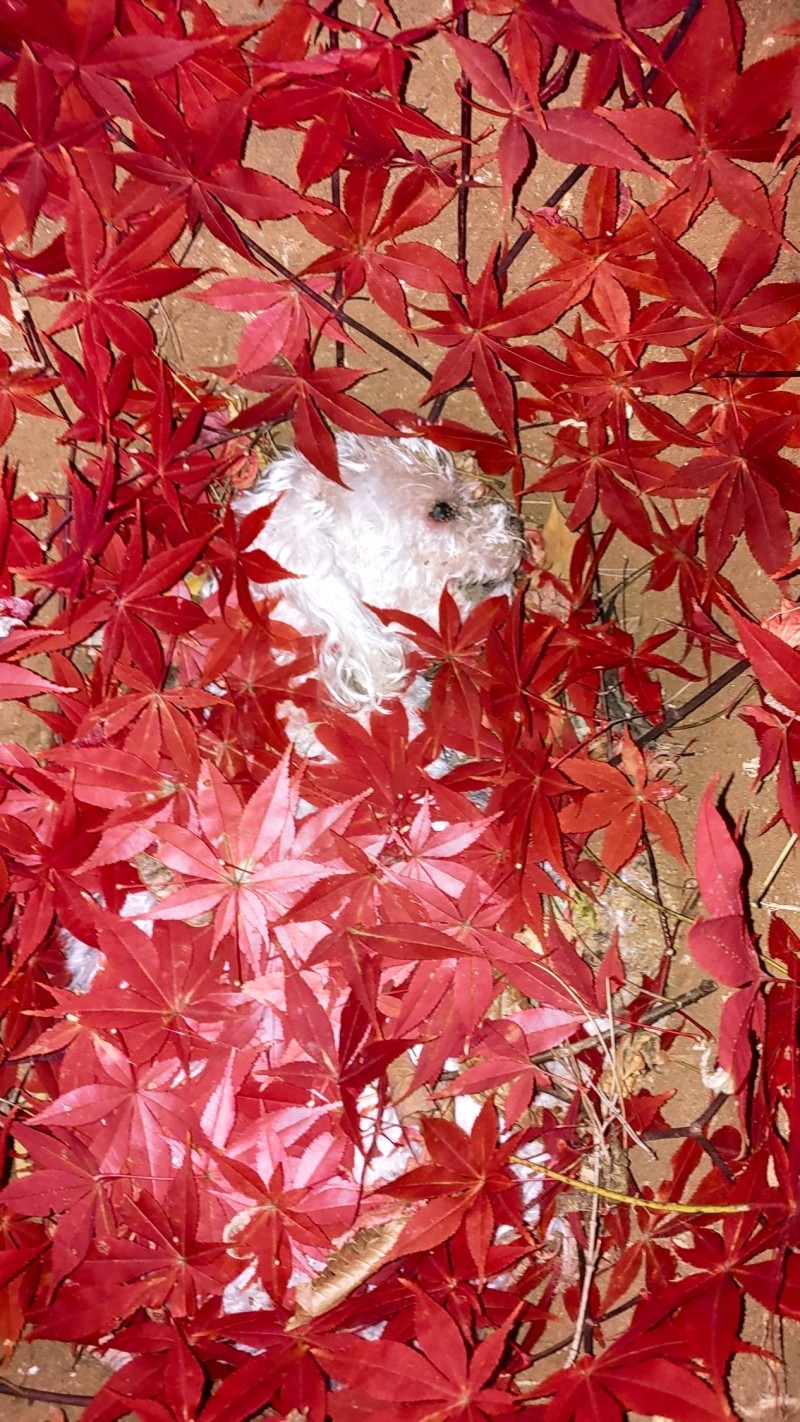 리뷰 사진 1
