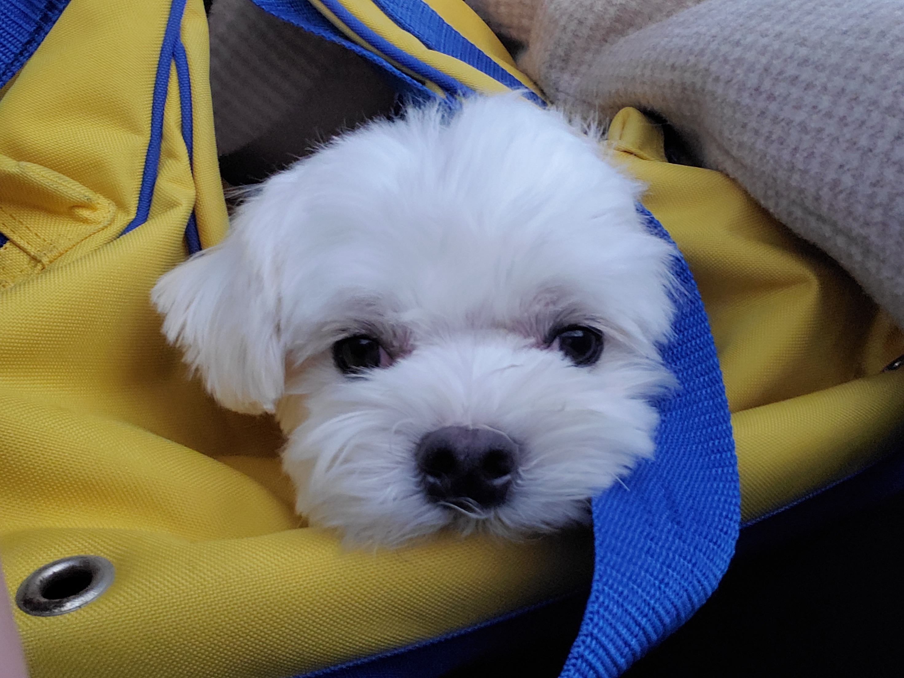 리뷰 사진 1