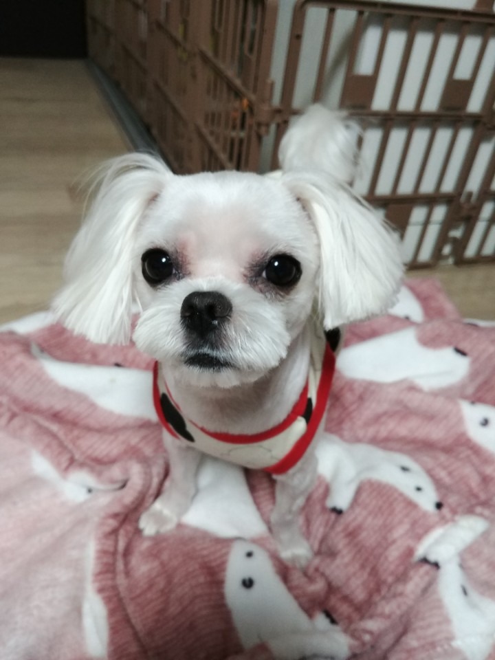 포일동물병원 사진 2