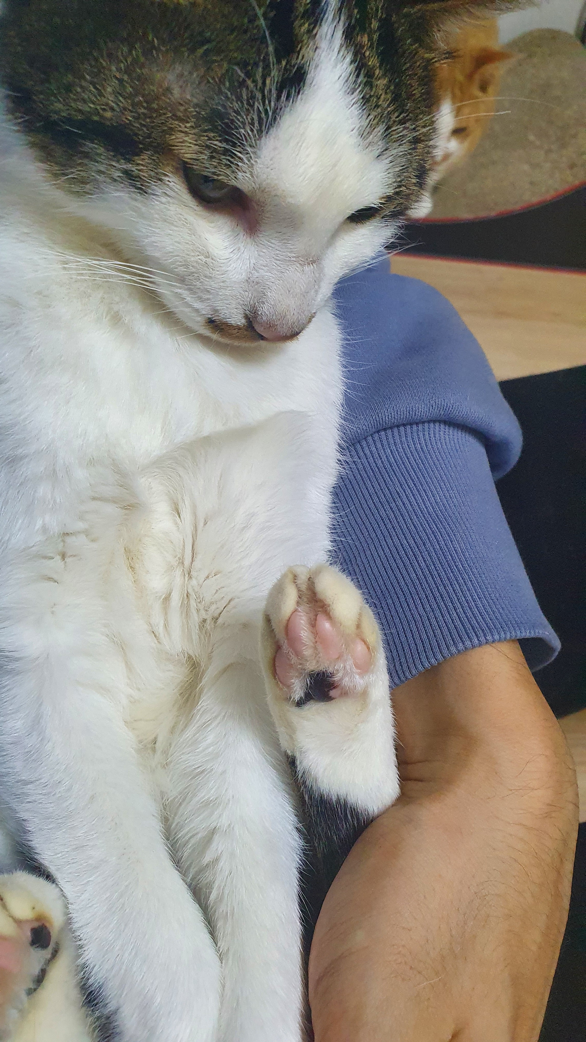 리뷰 사진 1