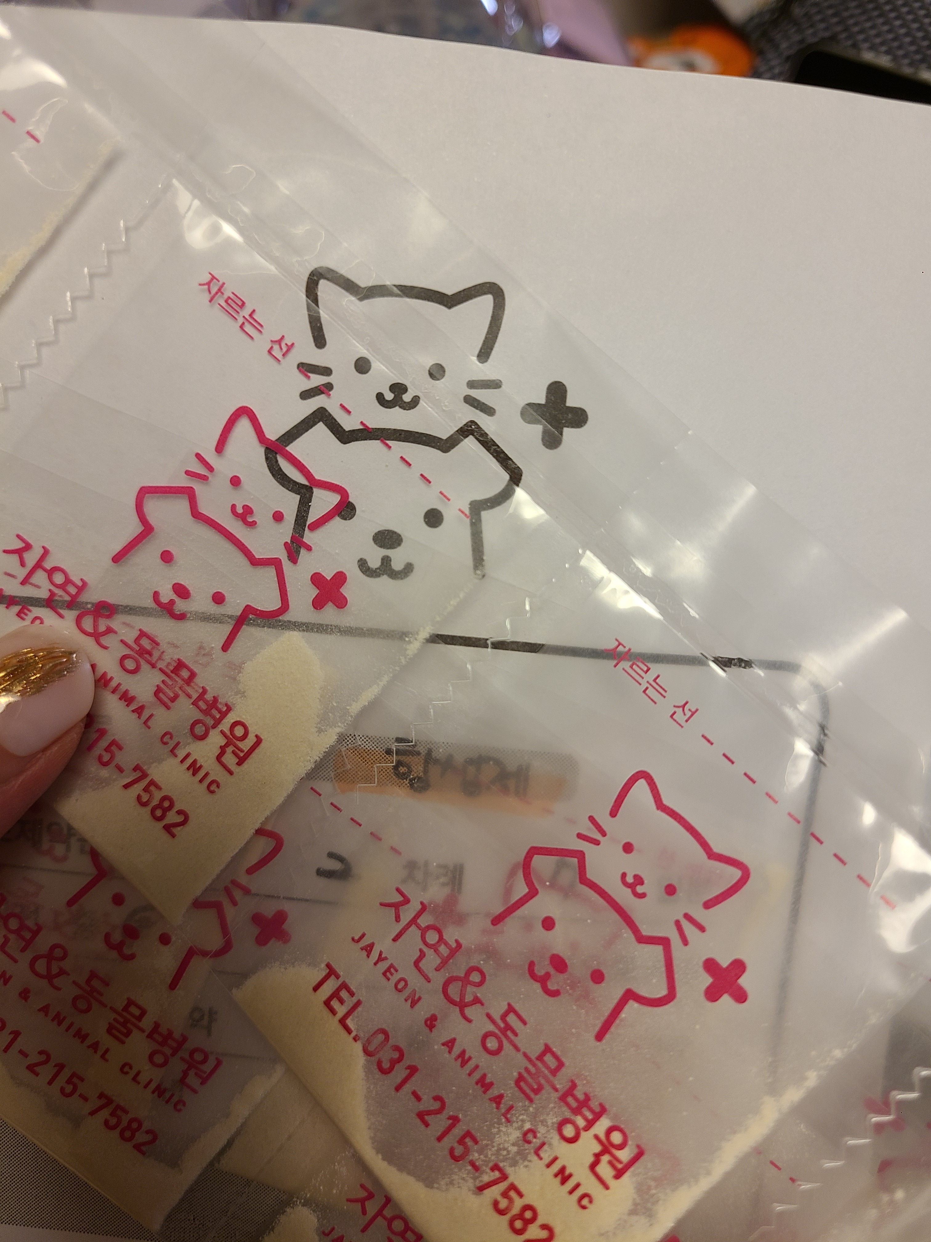 리뷰 사진 2