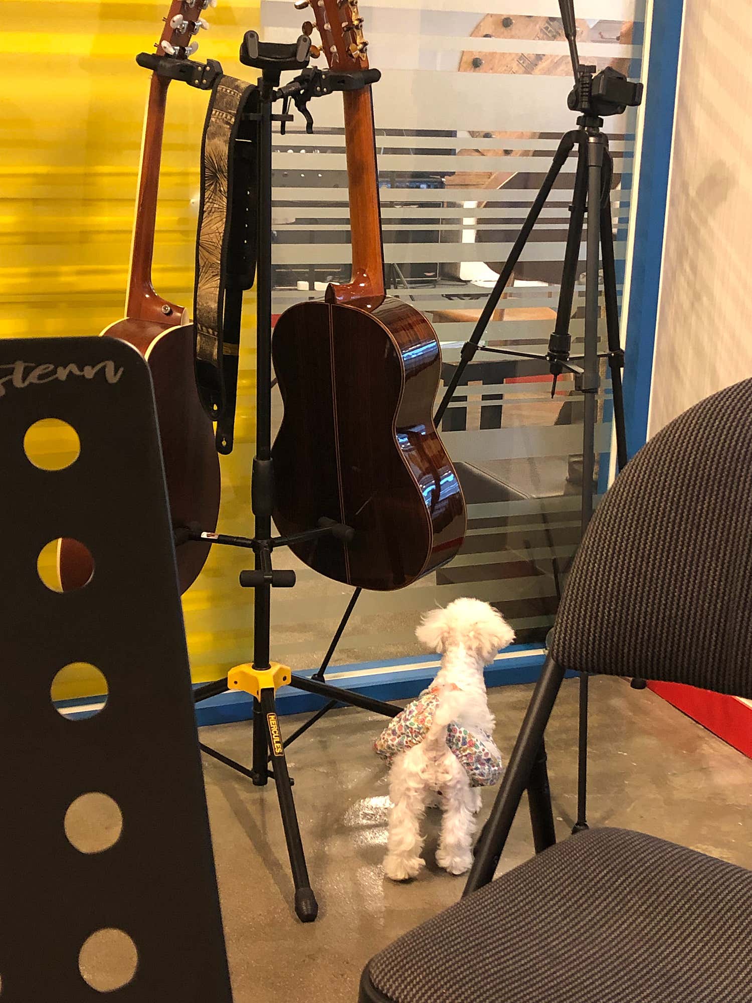 2번째 스튜디오 사진