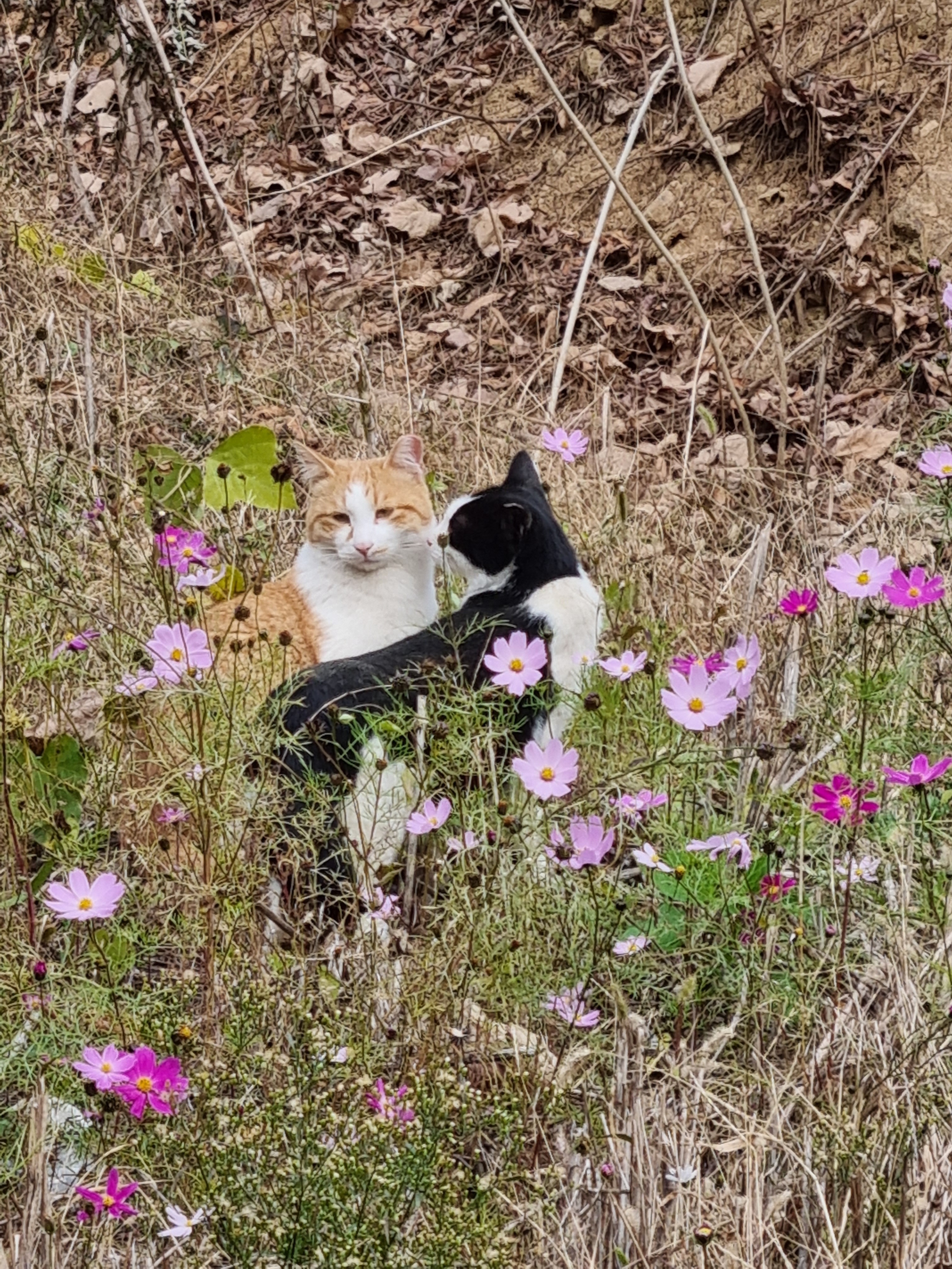 리뷰 사진 1