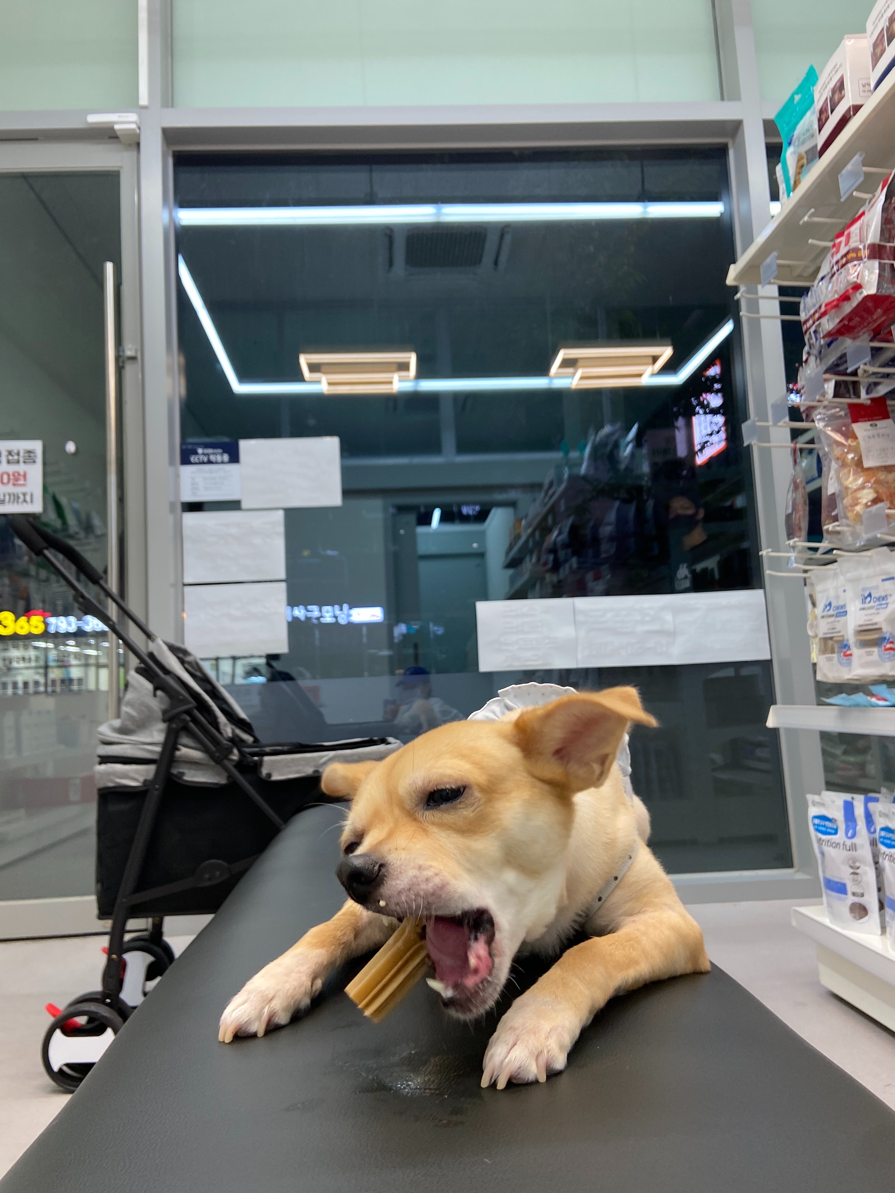 리뷰 사진 1