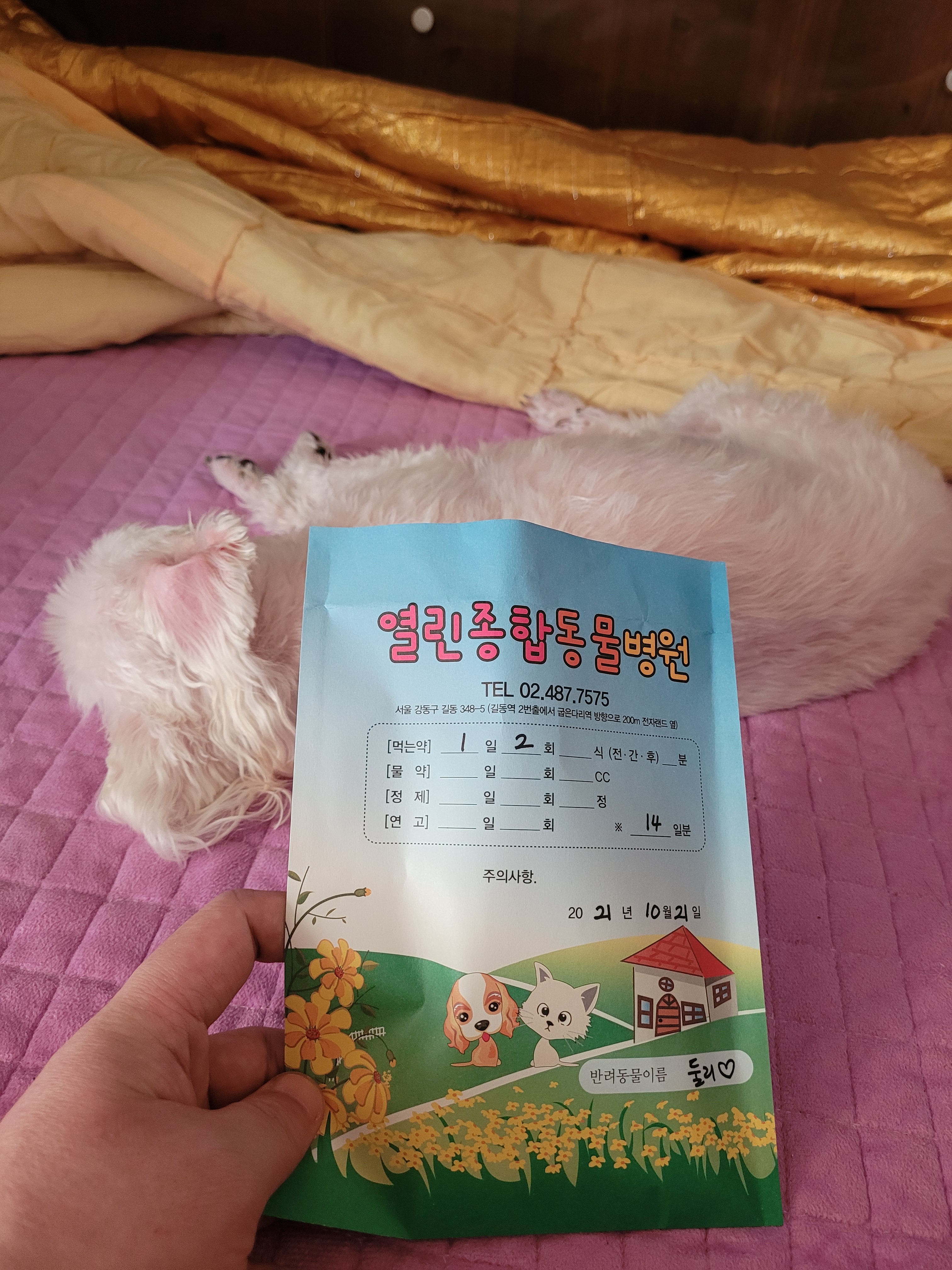 강동동물병원 사진 2