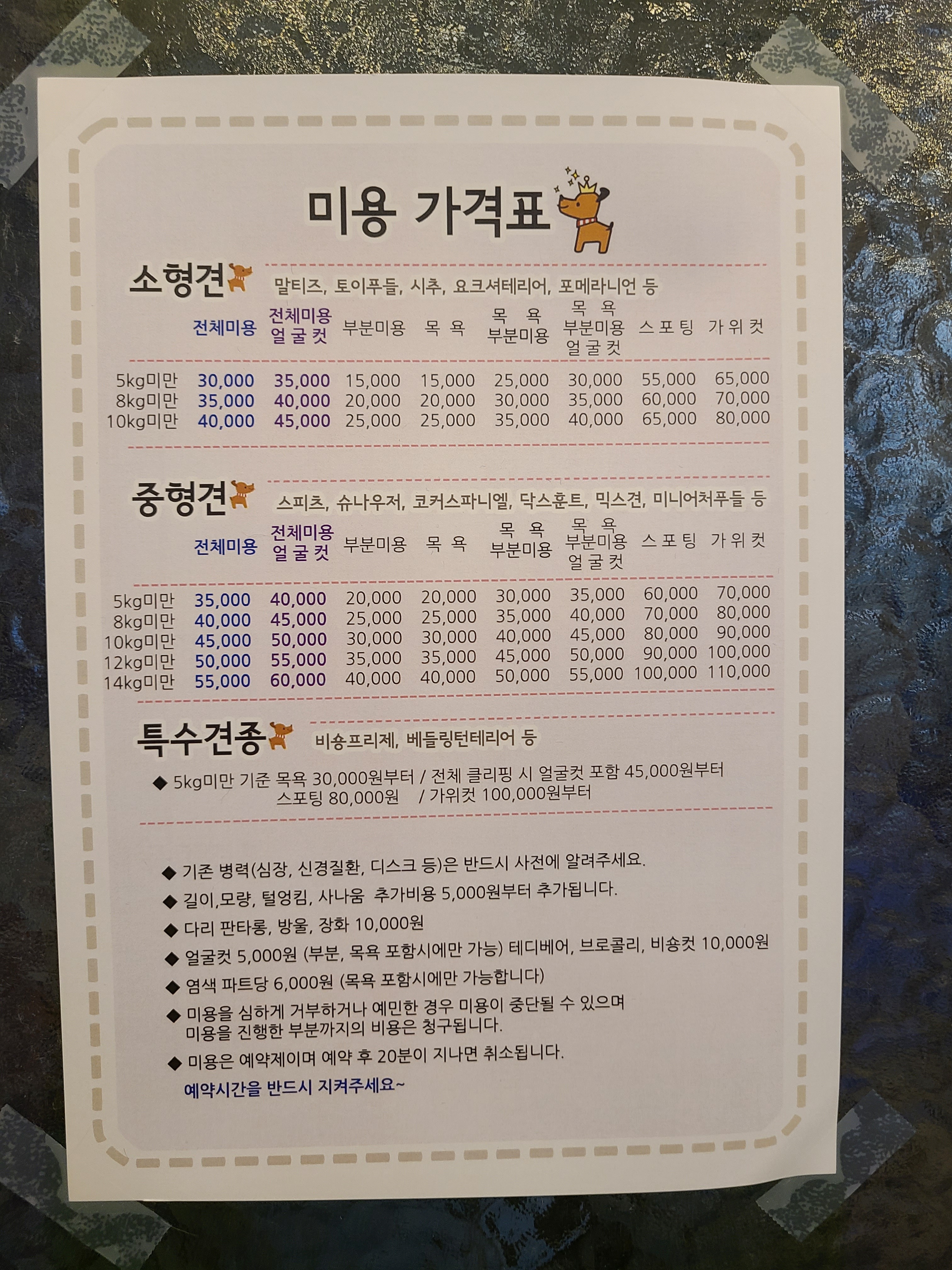 리뷰 사진 4