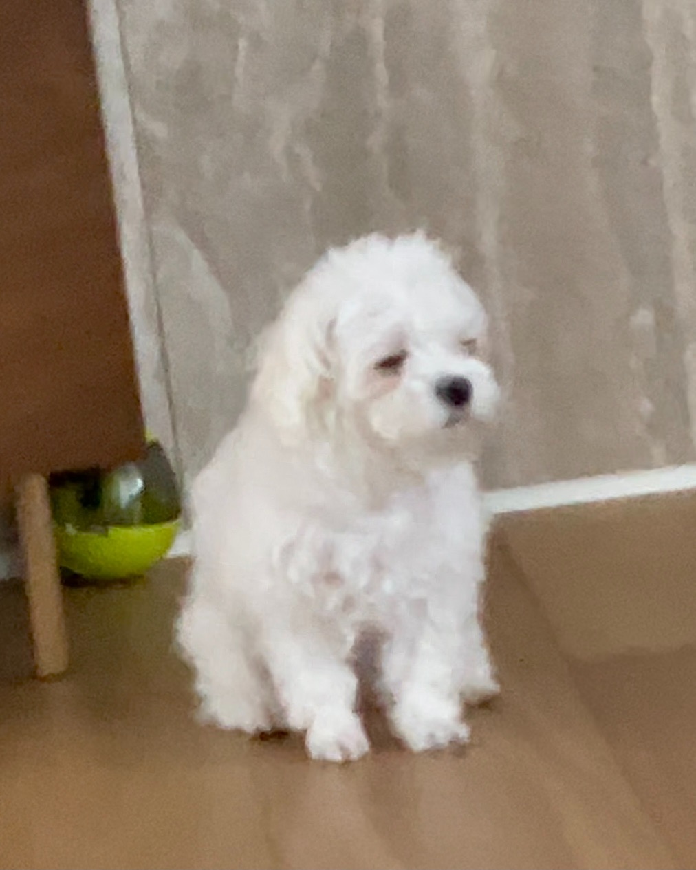 리뷰 사진 1