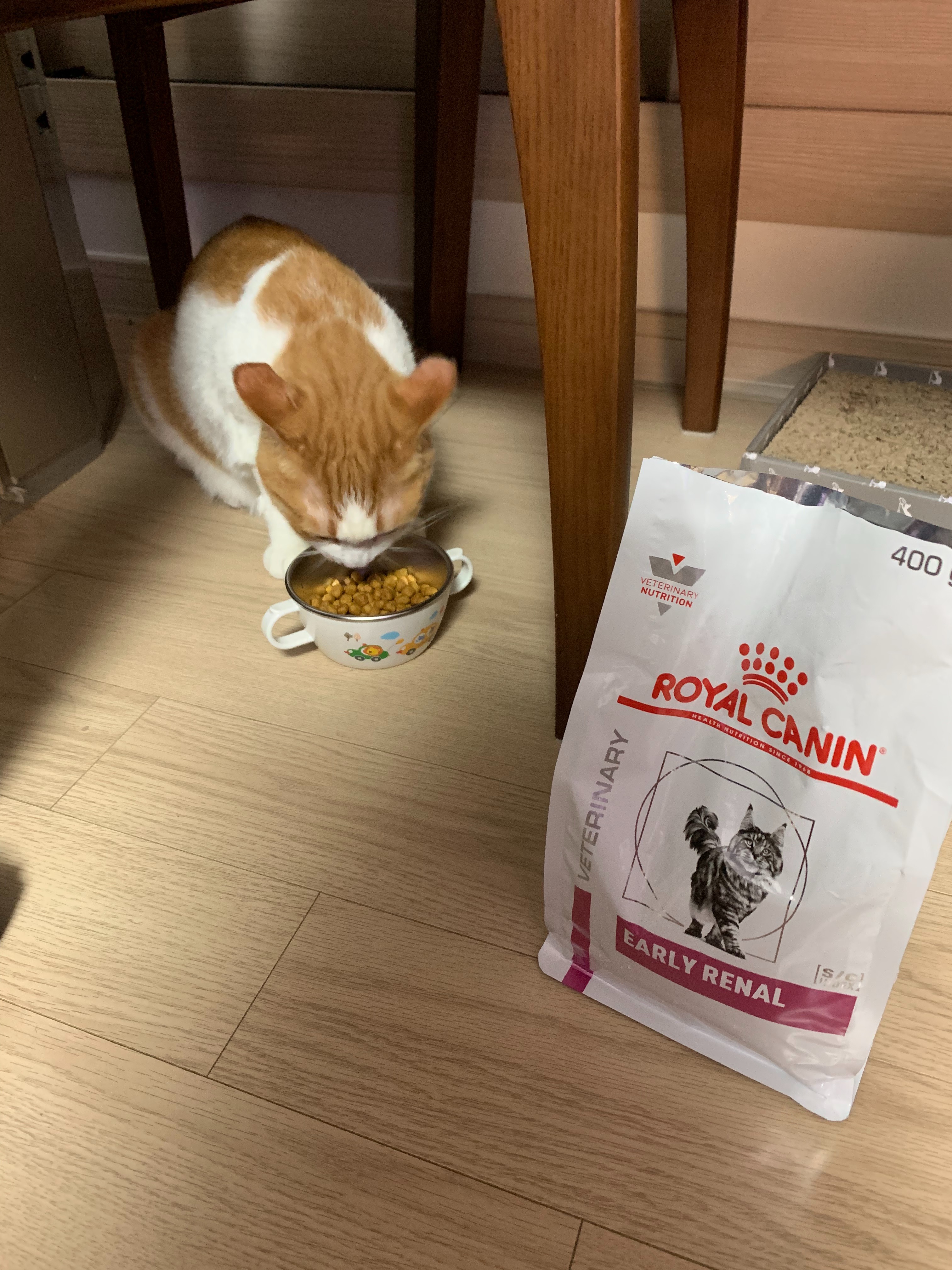 리뷰 사진 3