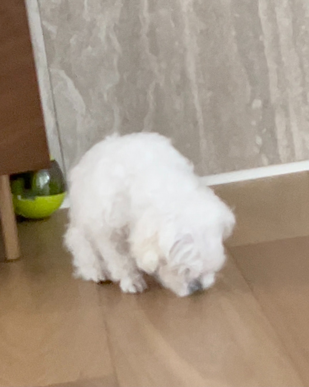 리뷰 사진 2