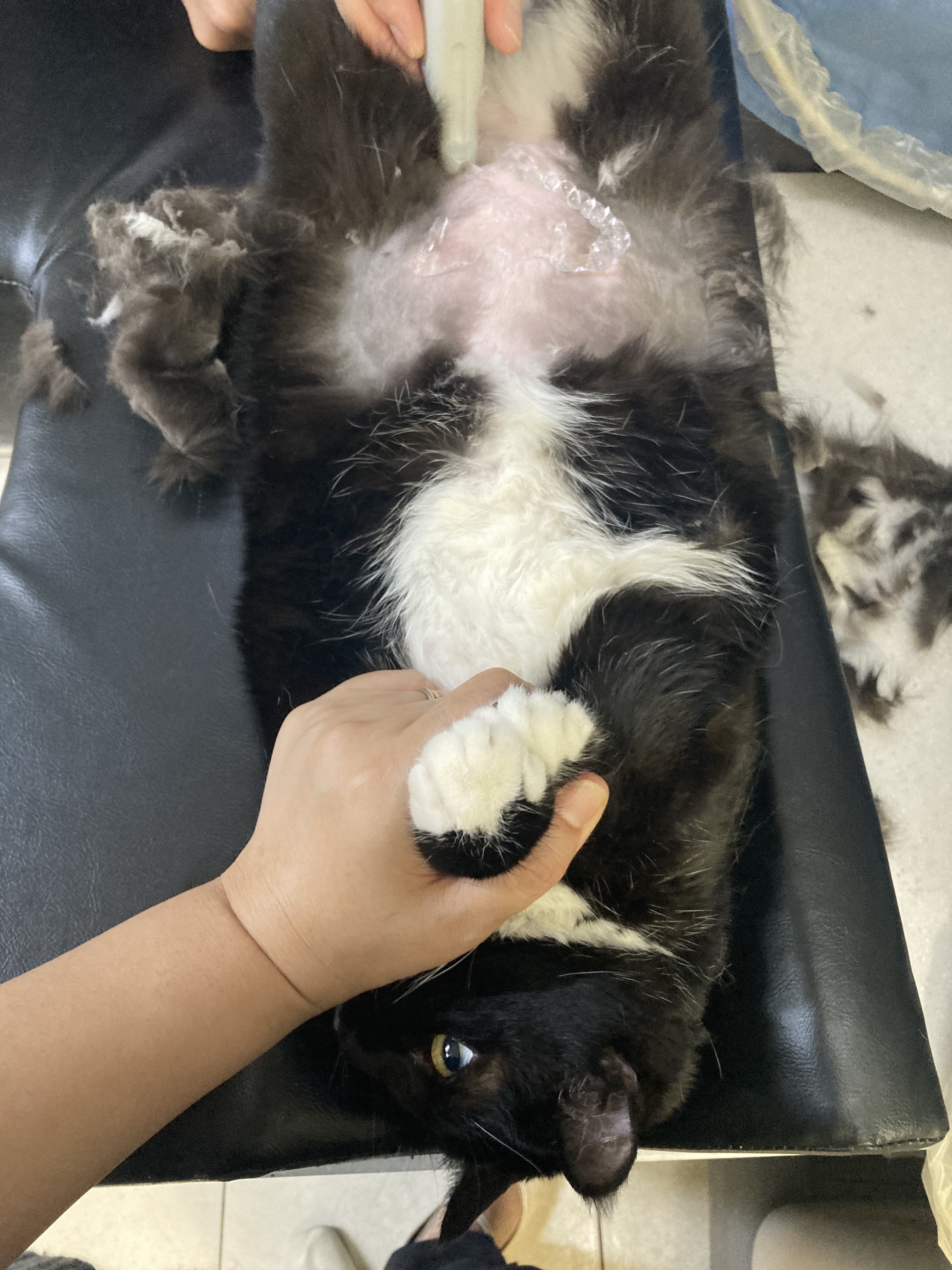 리뷰 사진 1