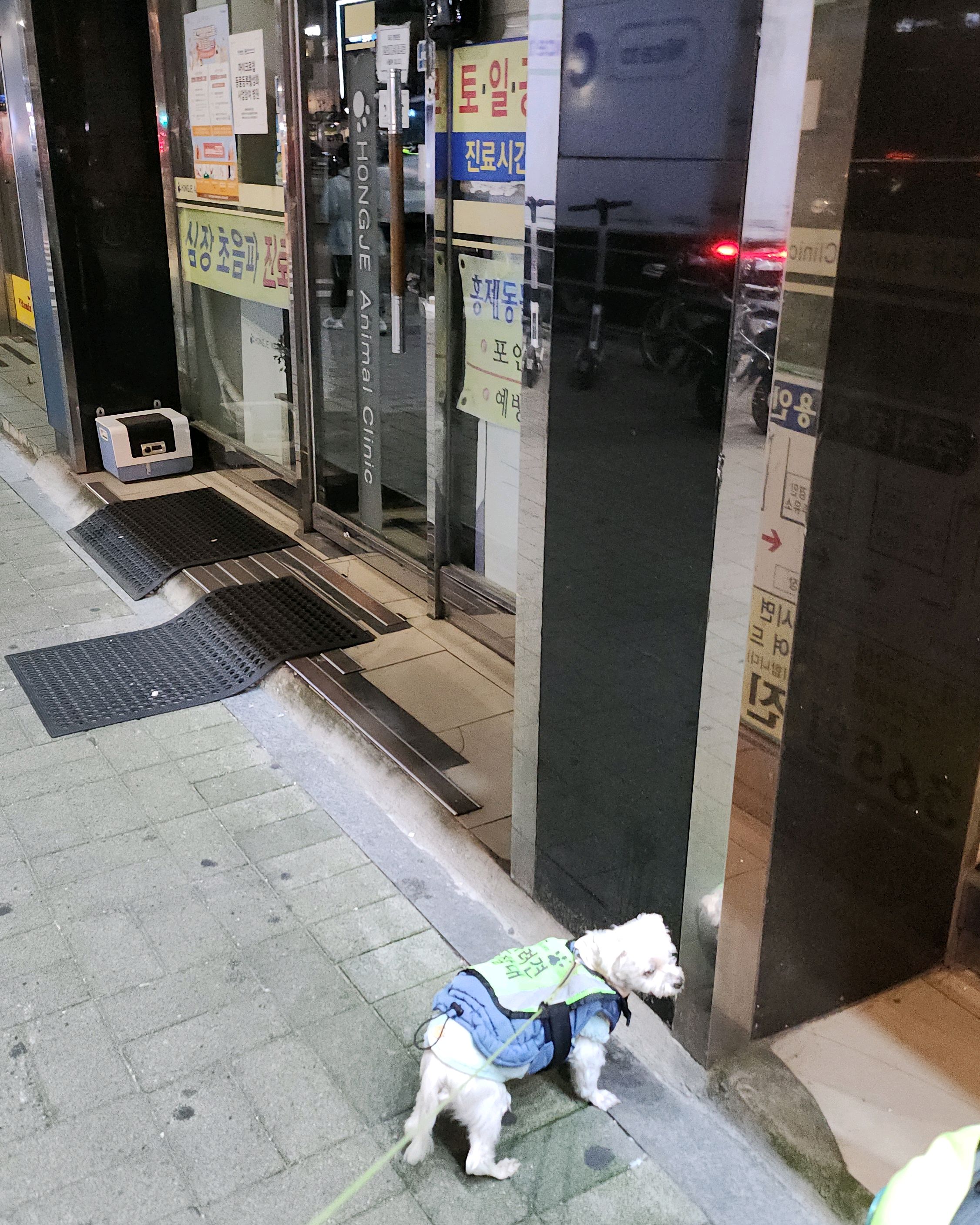 리뷰 사진 1