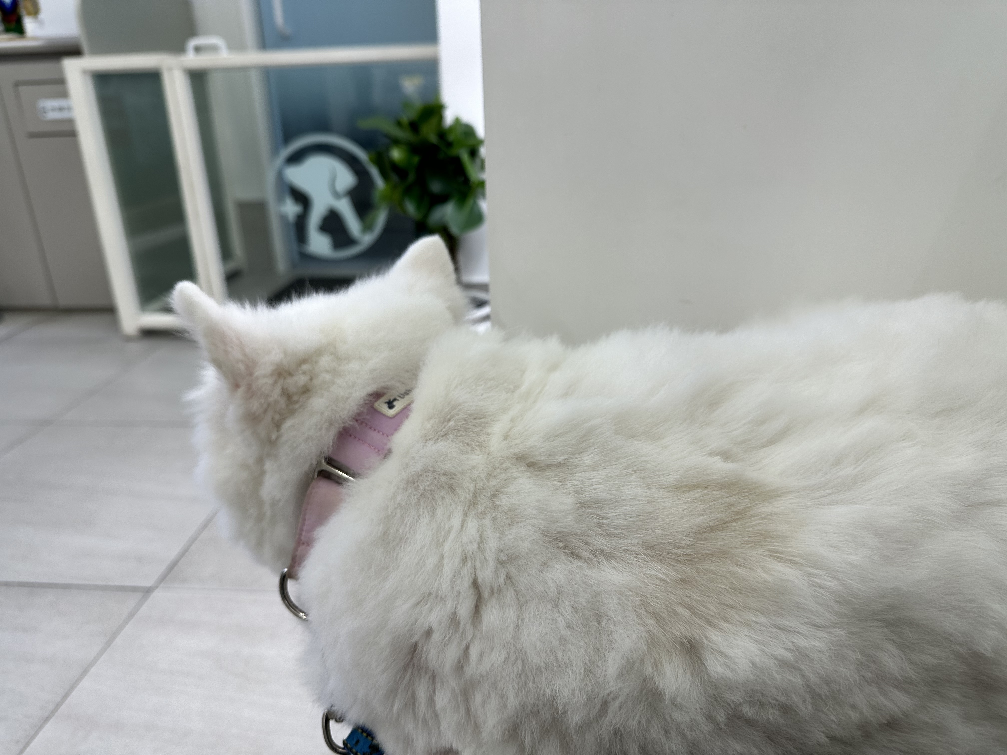 리뷰 사진 1