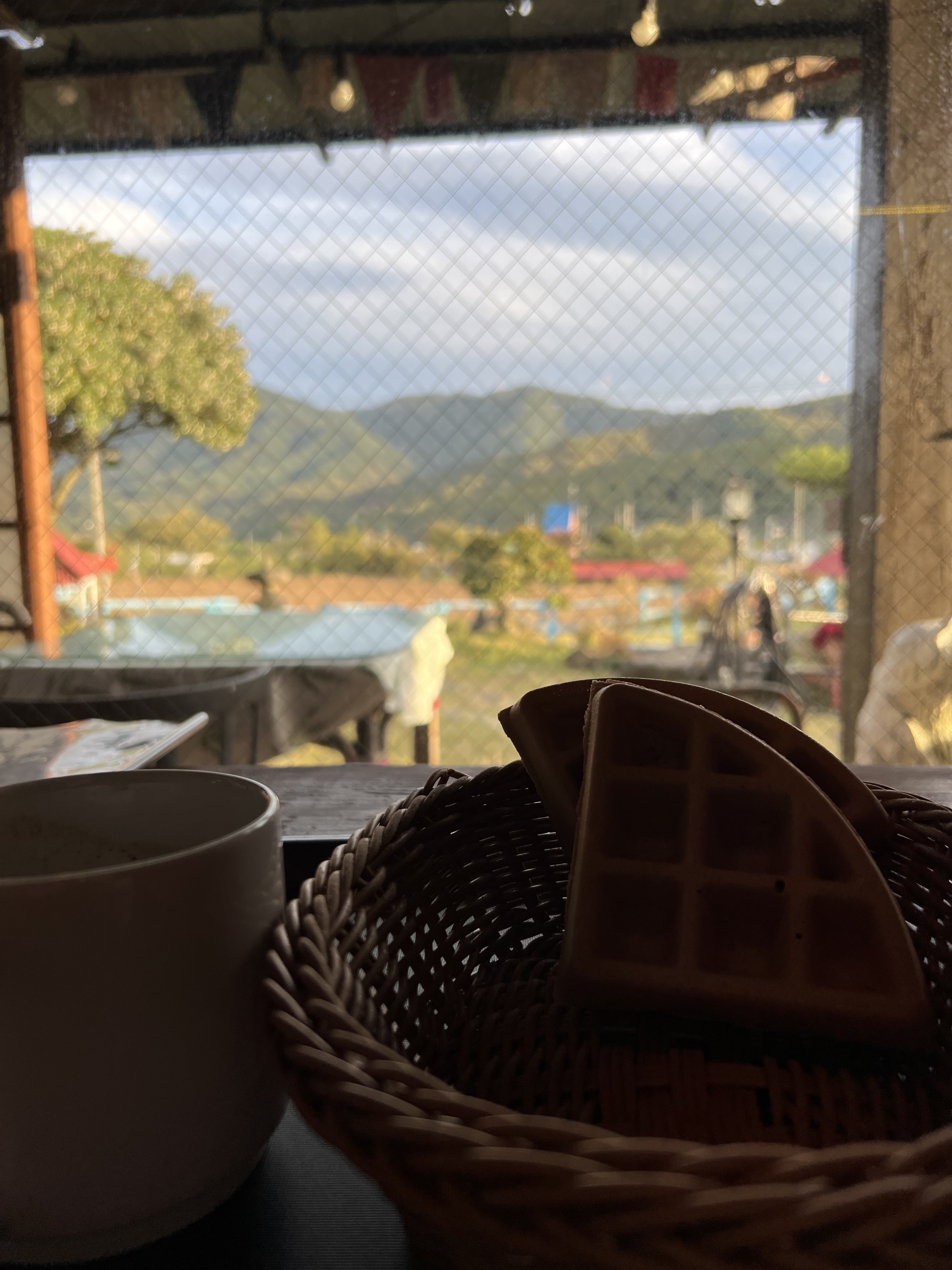[하동 맛집 알프스 밀밭] 직접 가본 로컬 리뷰