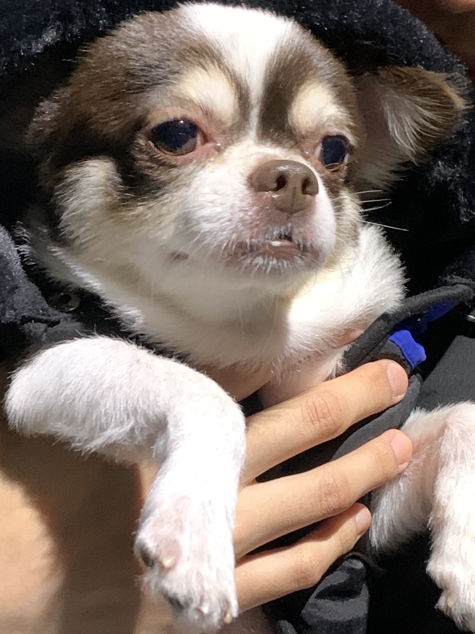 리뷰 사진 1