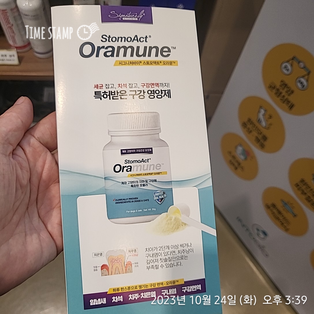 리뷰 사진 1