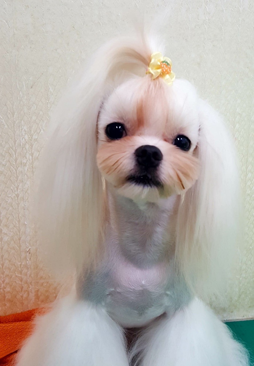 리뷰 사진 1