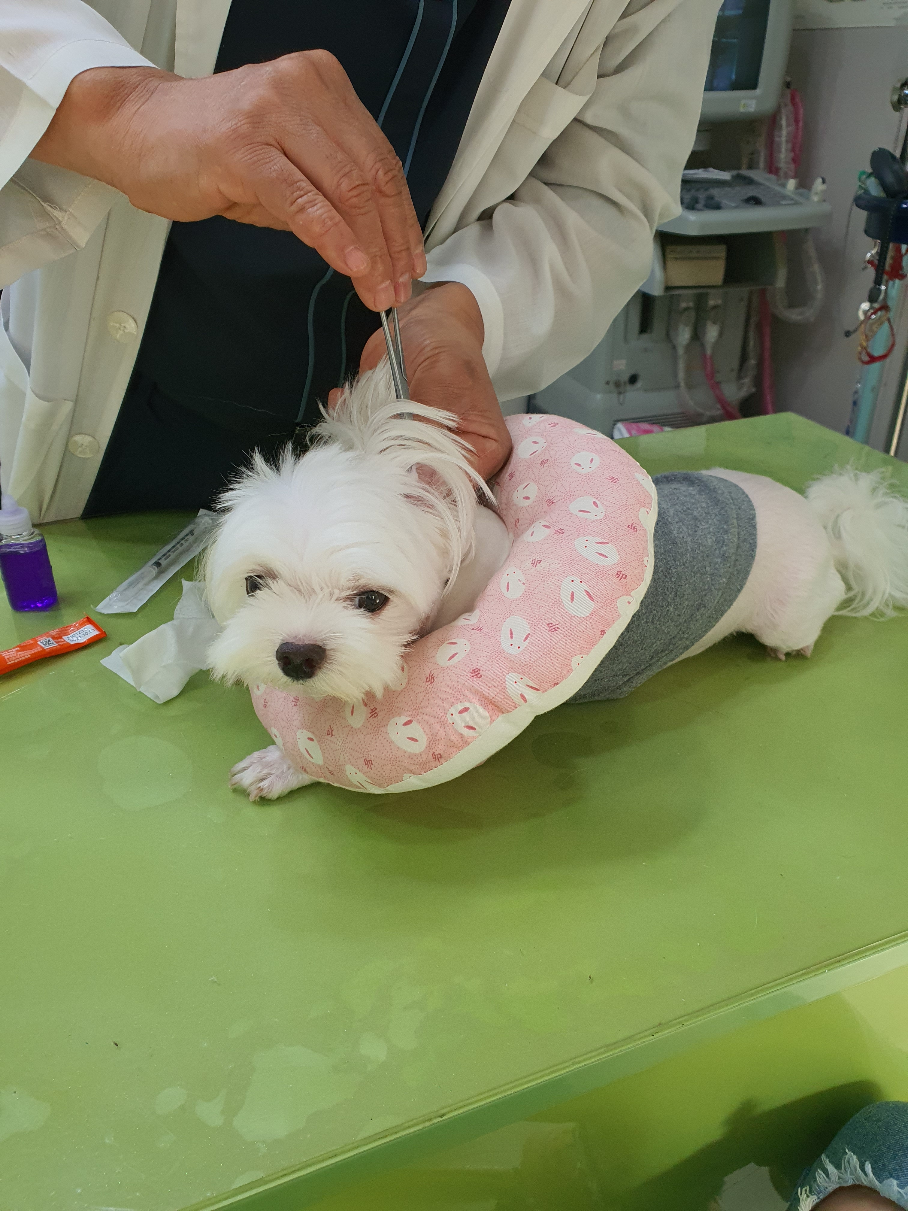 리뷰 사진 2