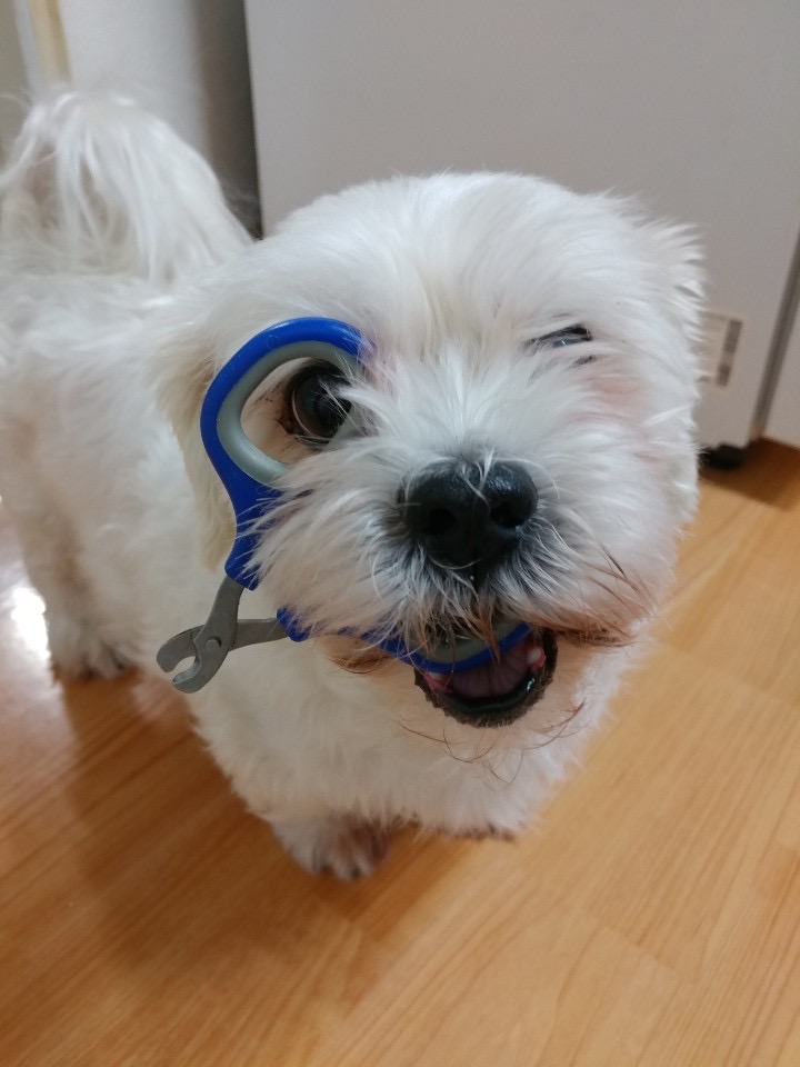 리뷰 사진 1