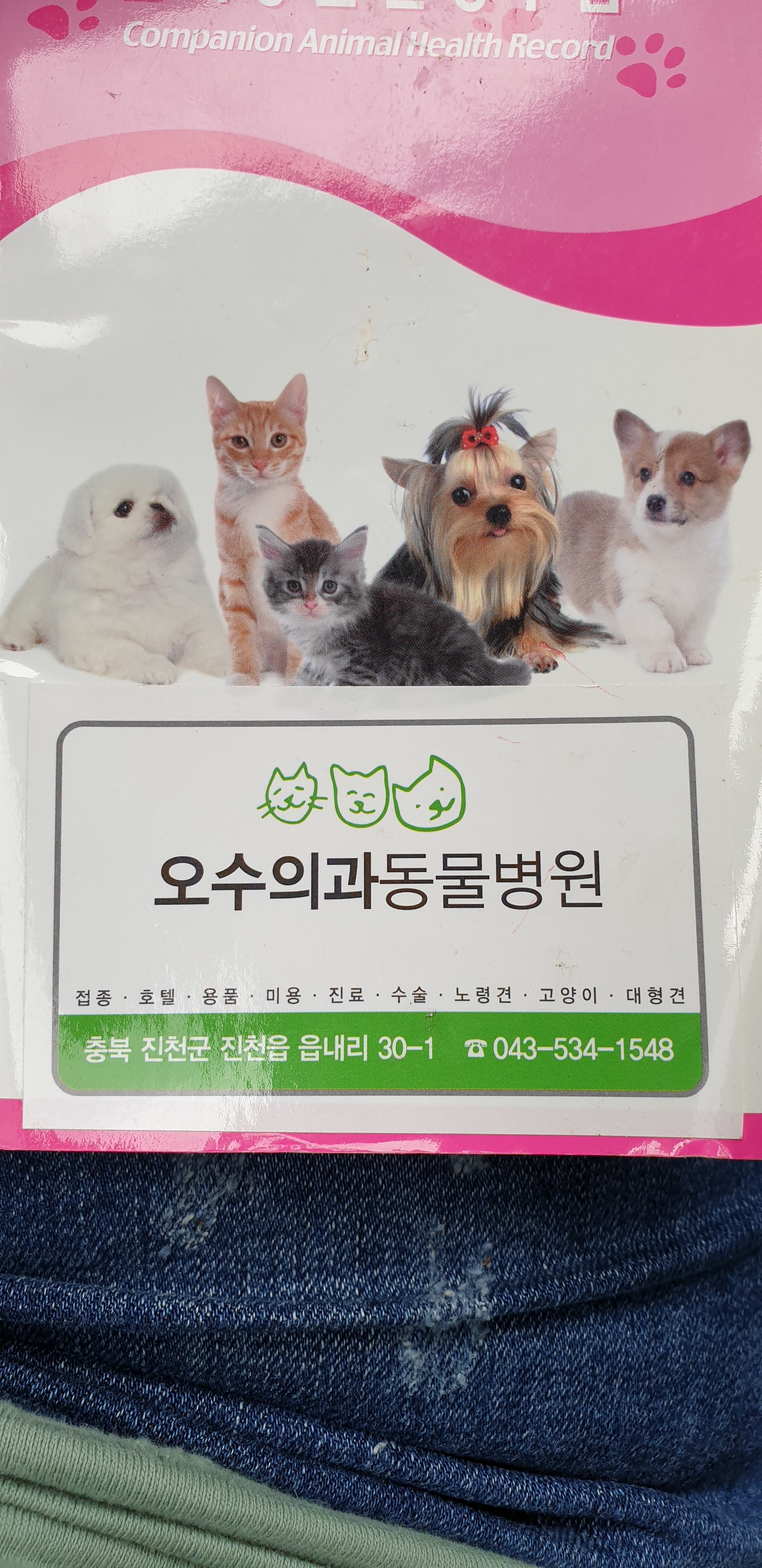 유수의과 동물병원 사진 2