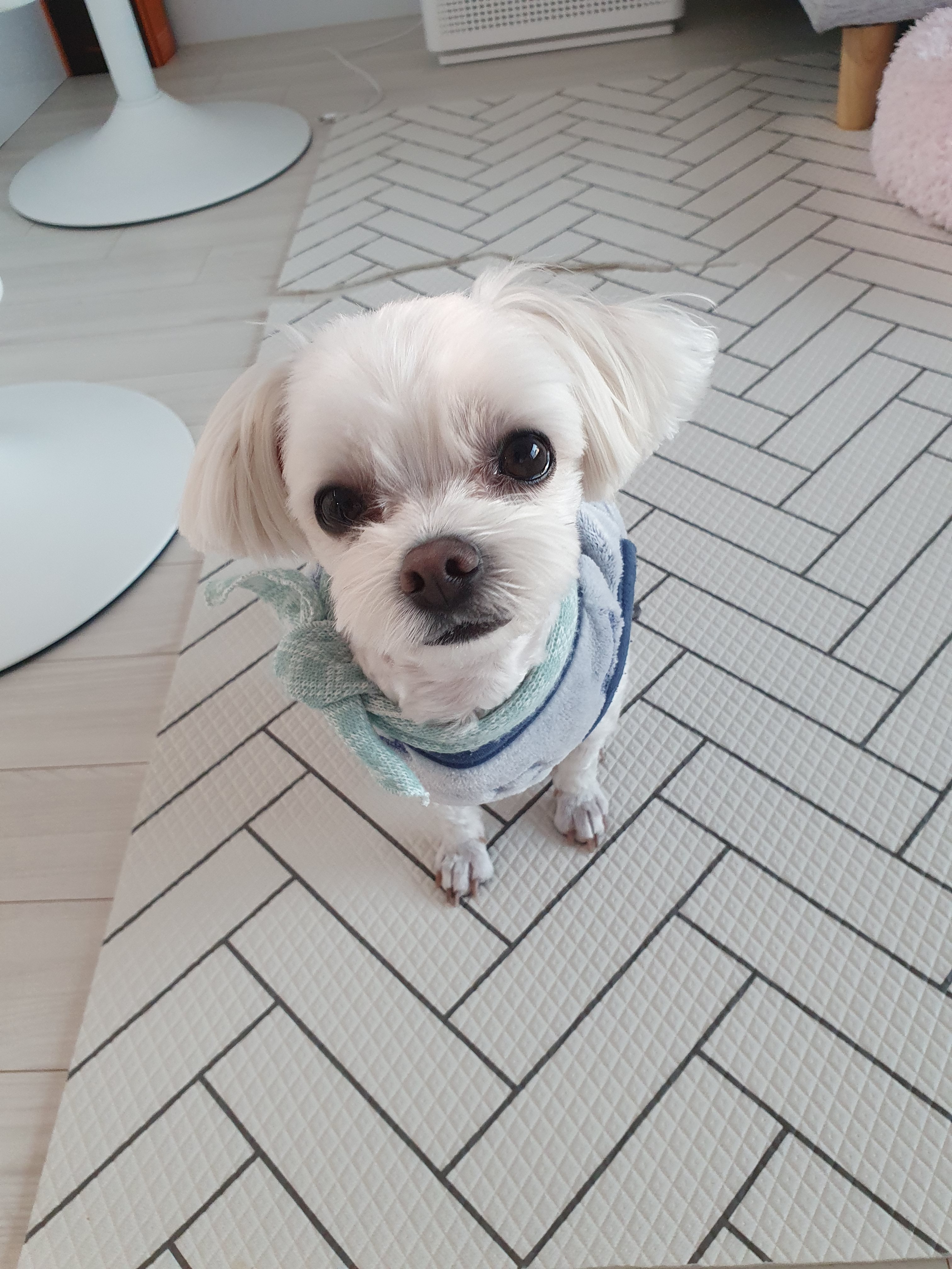 진정훈동물병원 사진 2