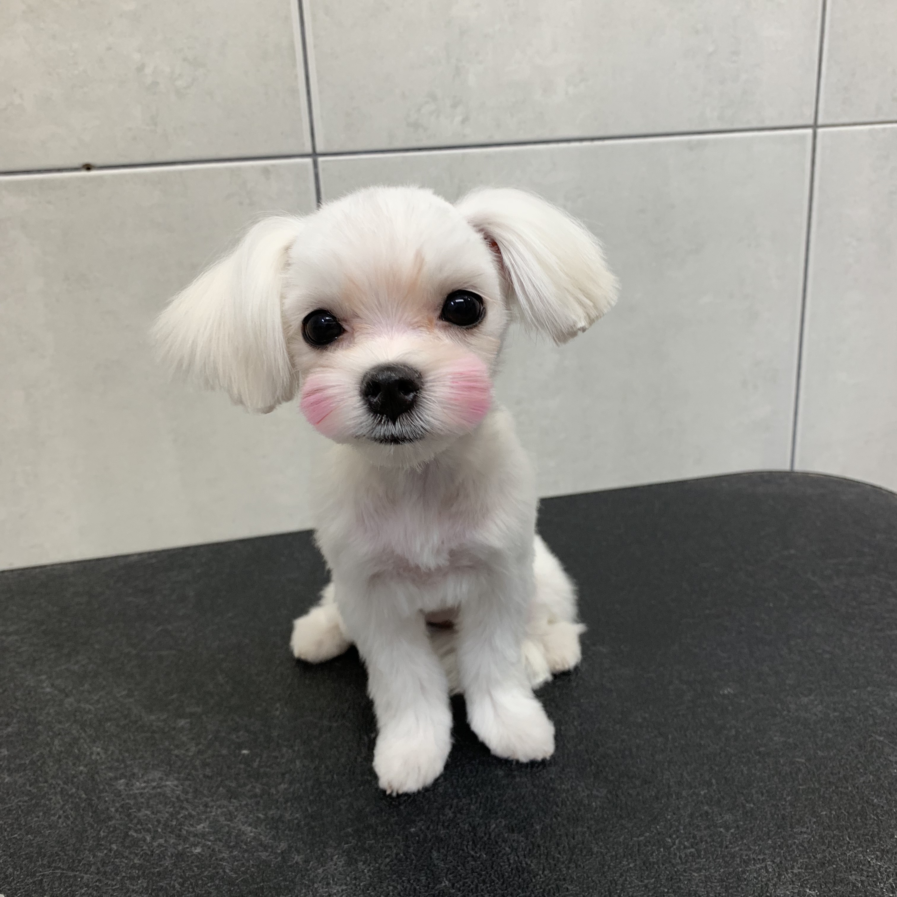 리뷰 사진 1