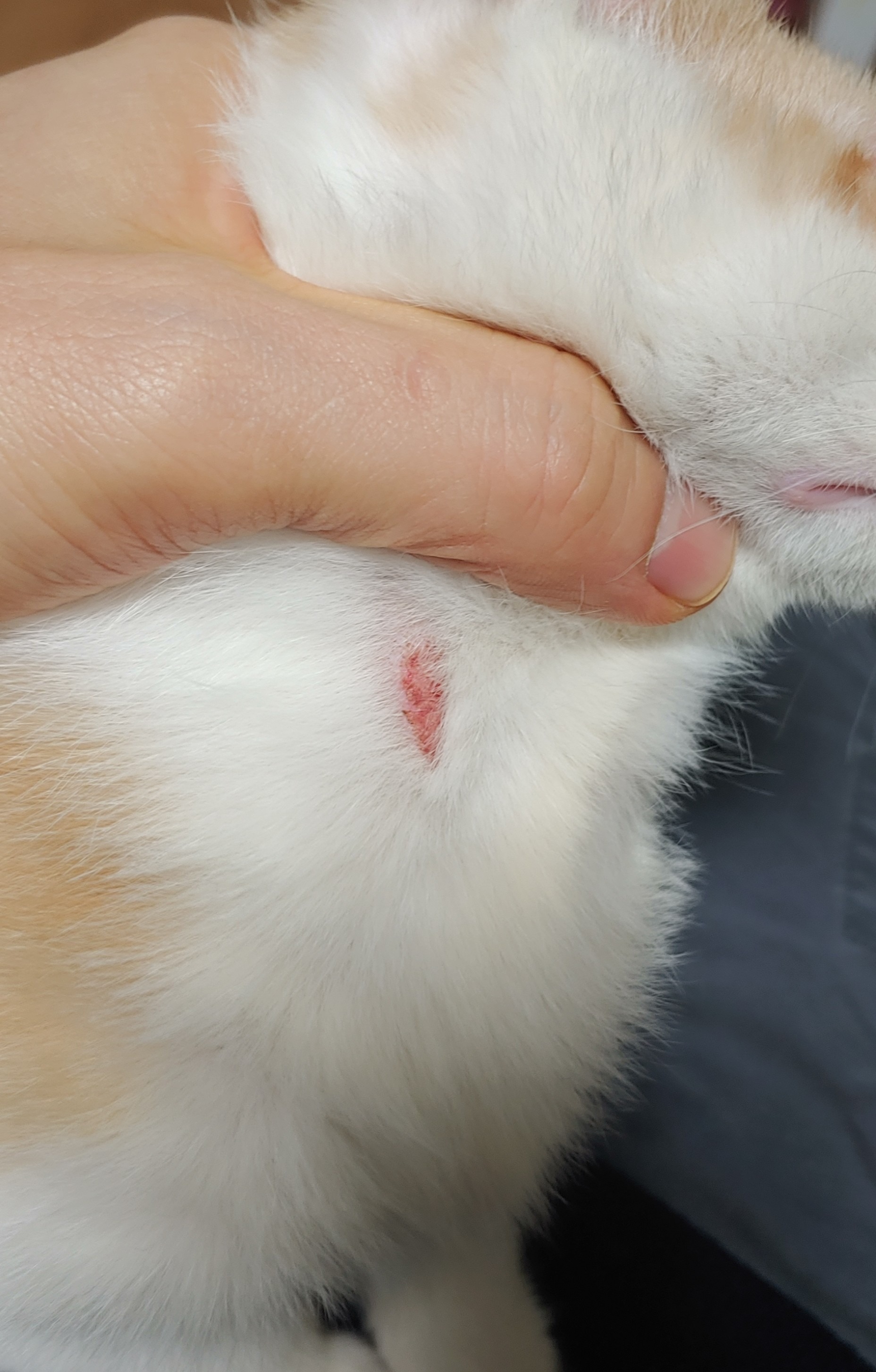 리뷰 사진 1