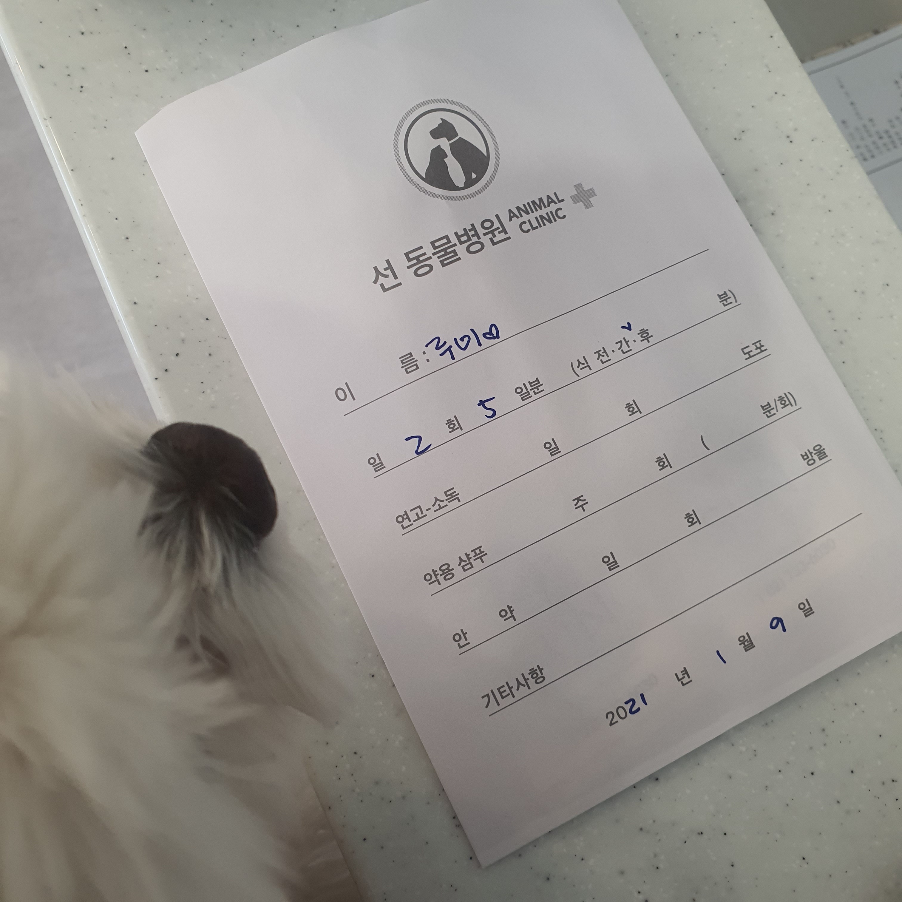 선동물병원 사진 2