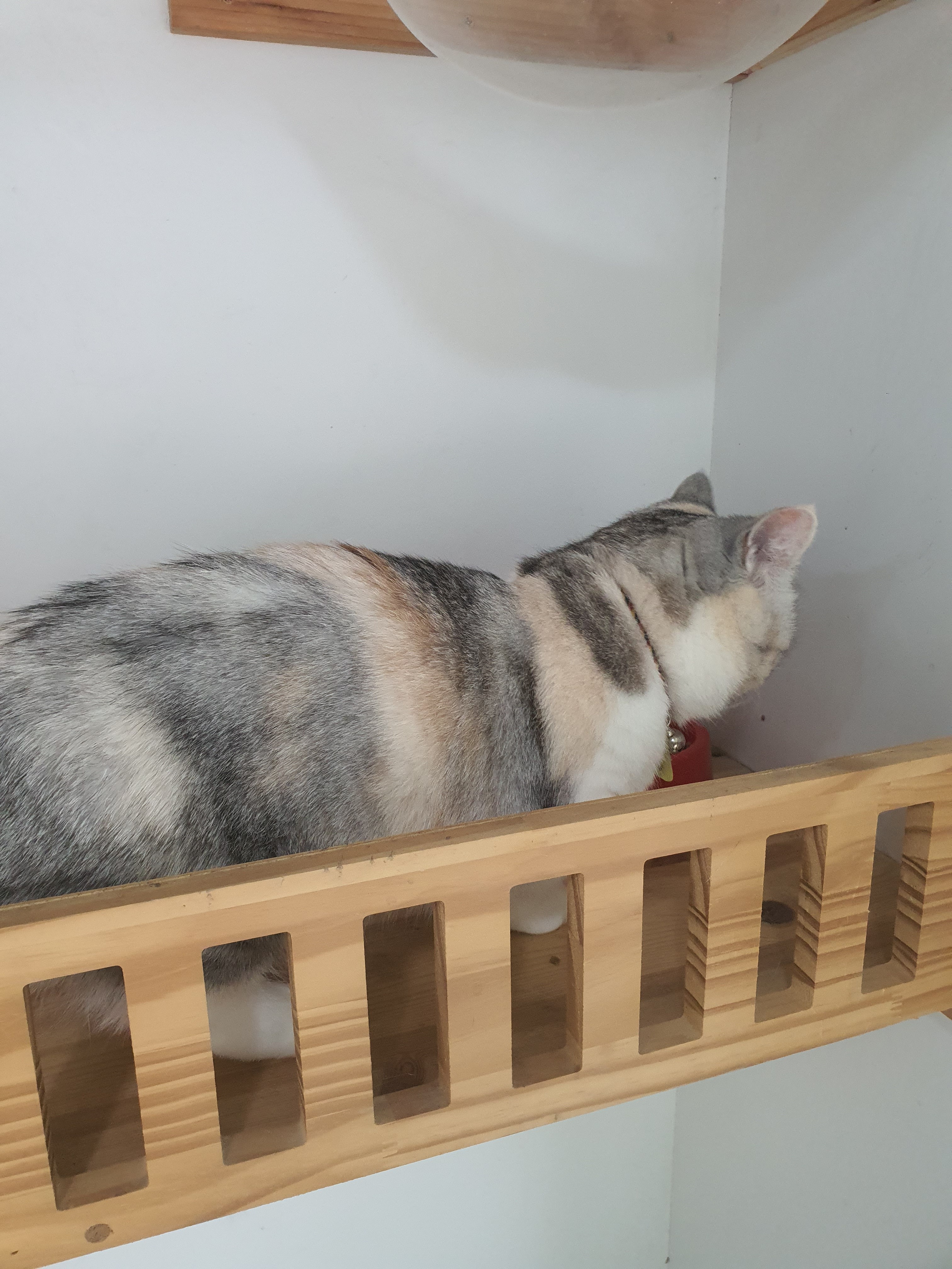 리뷰 사진 1