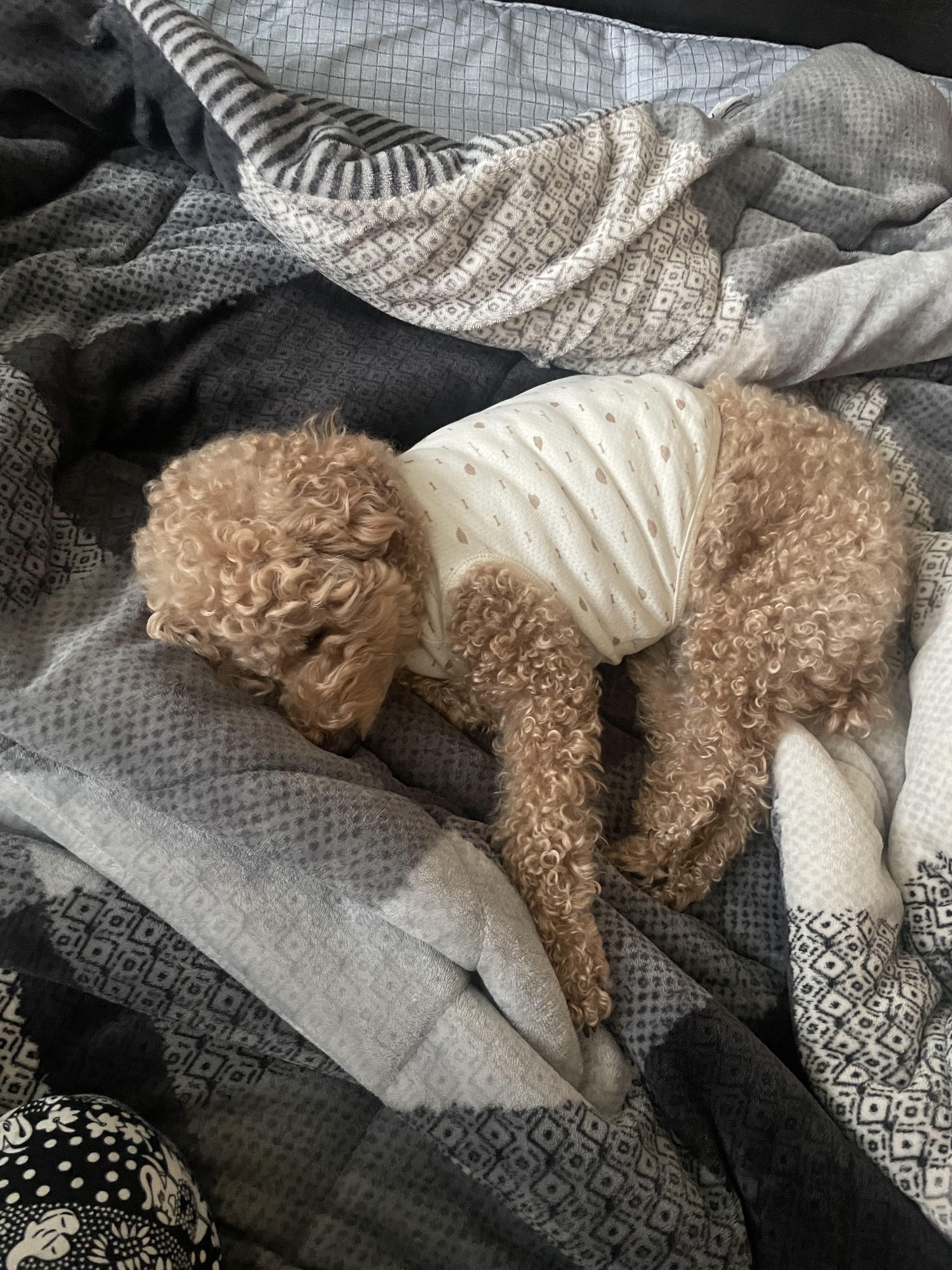 리뷰 사진 1