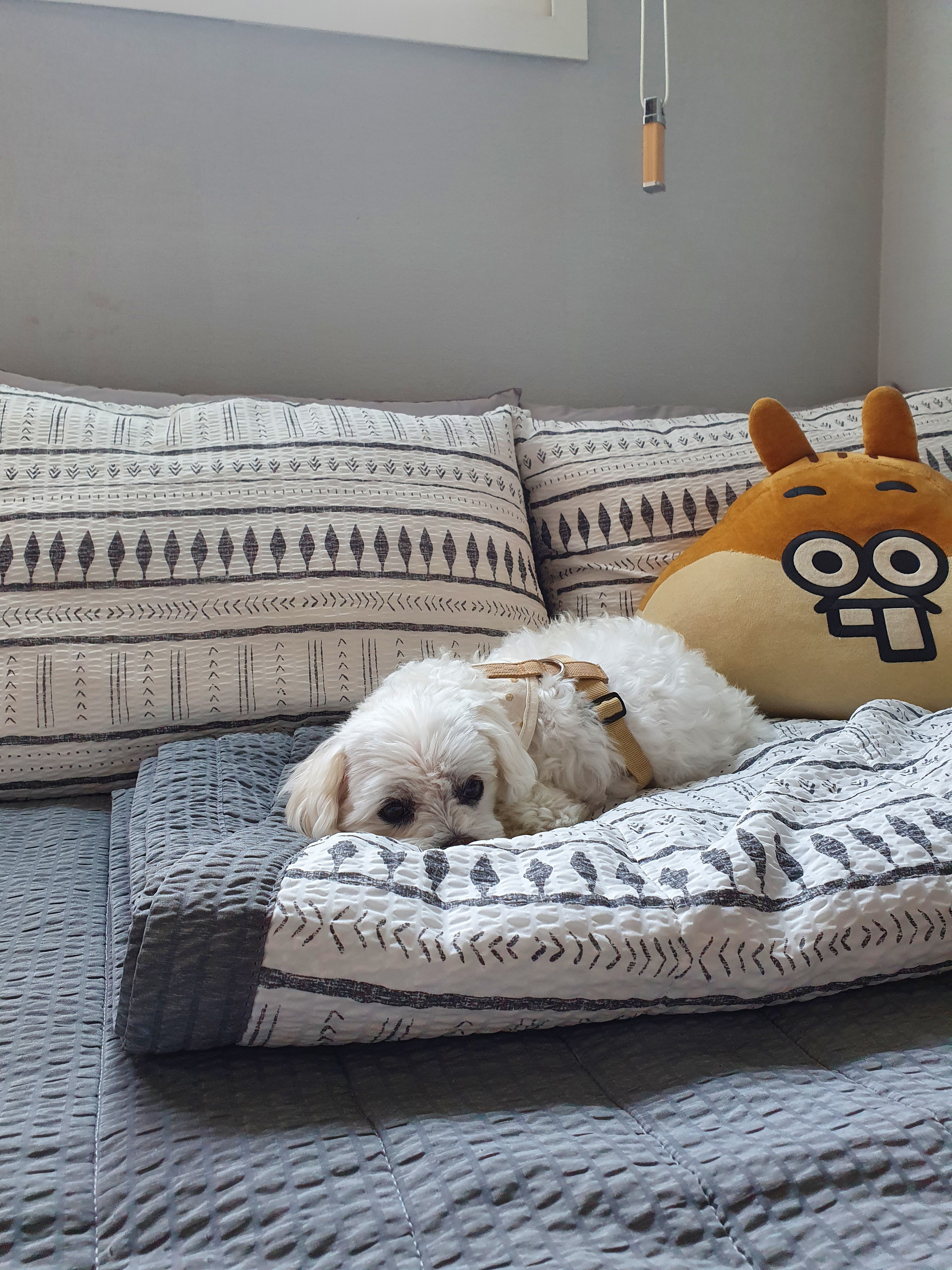 리뷰 사진 1