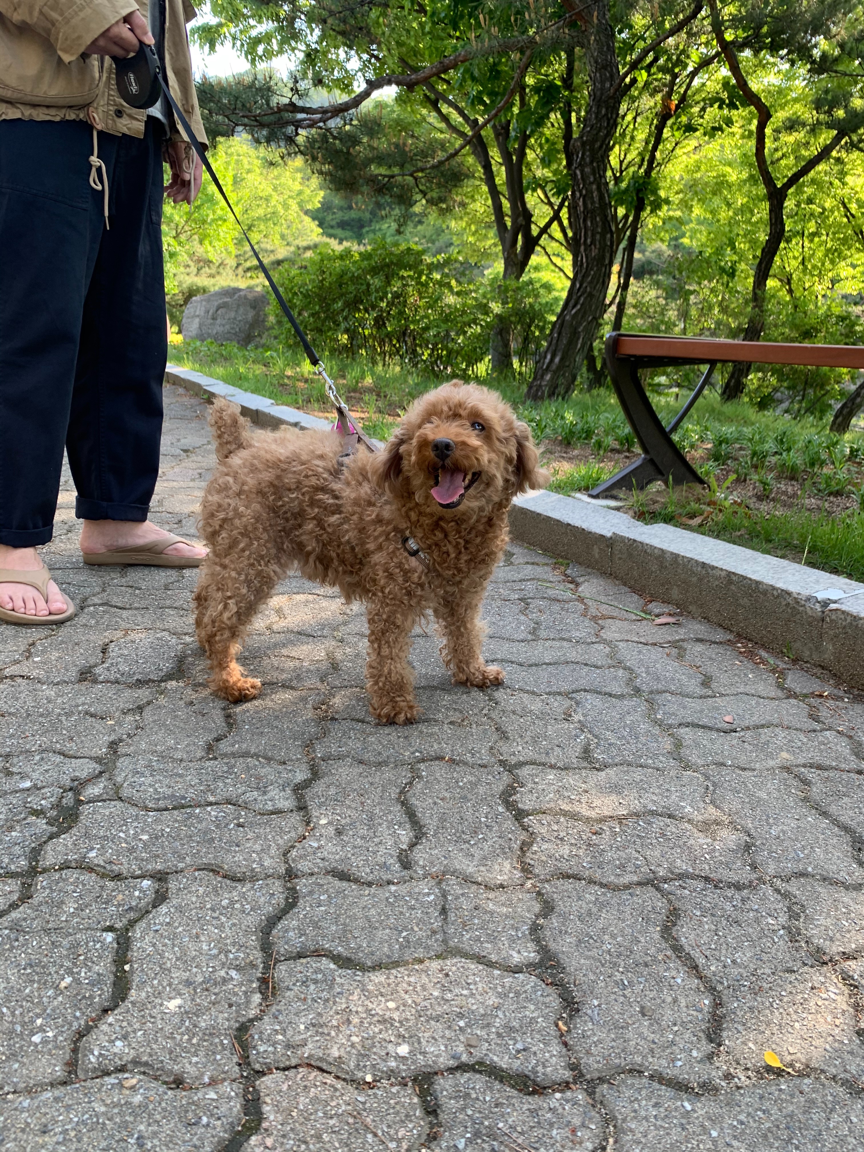 리뷰 사진 1