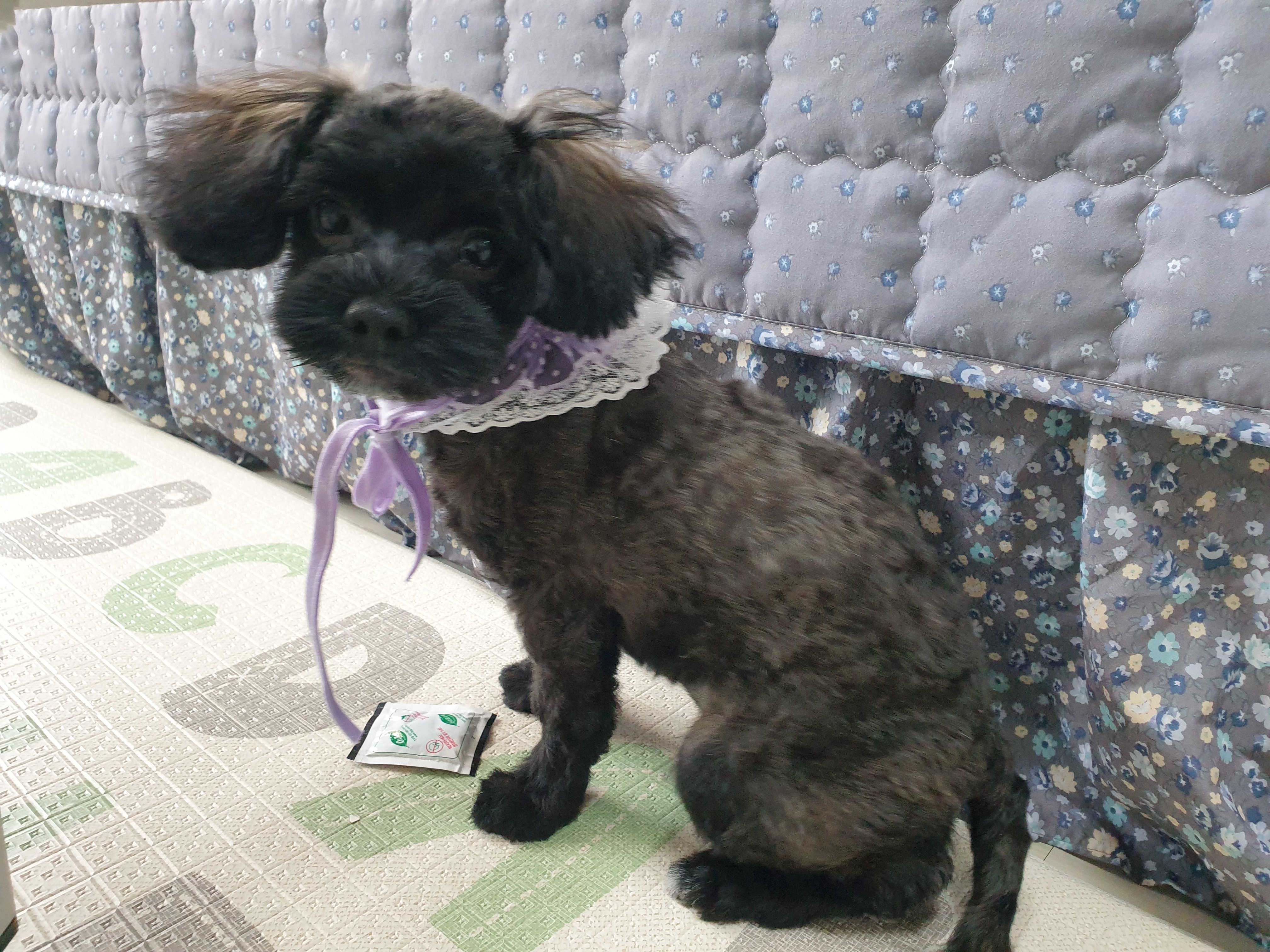 리뷰 사진 1