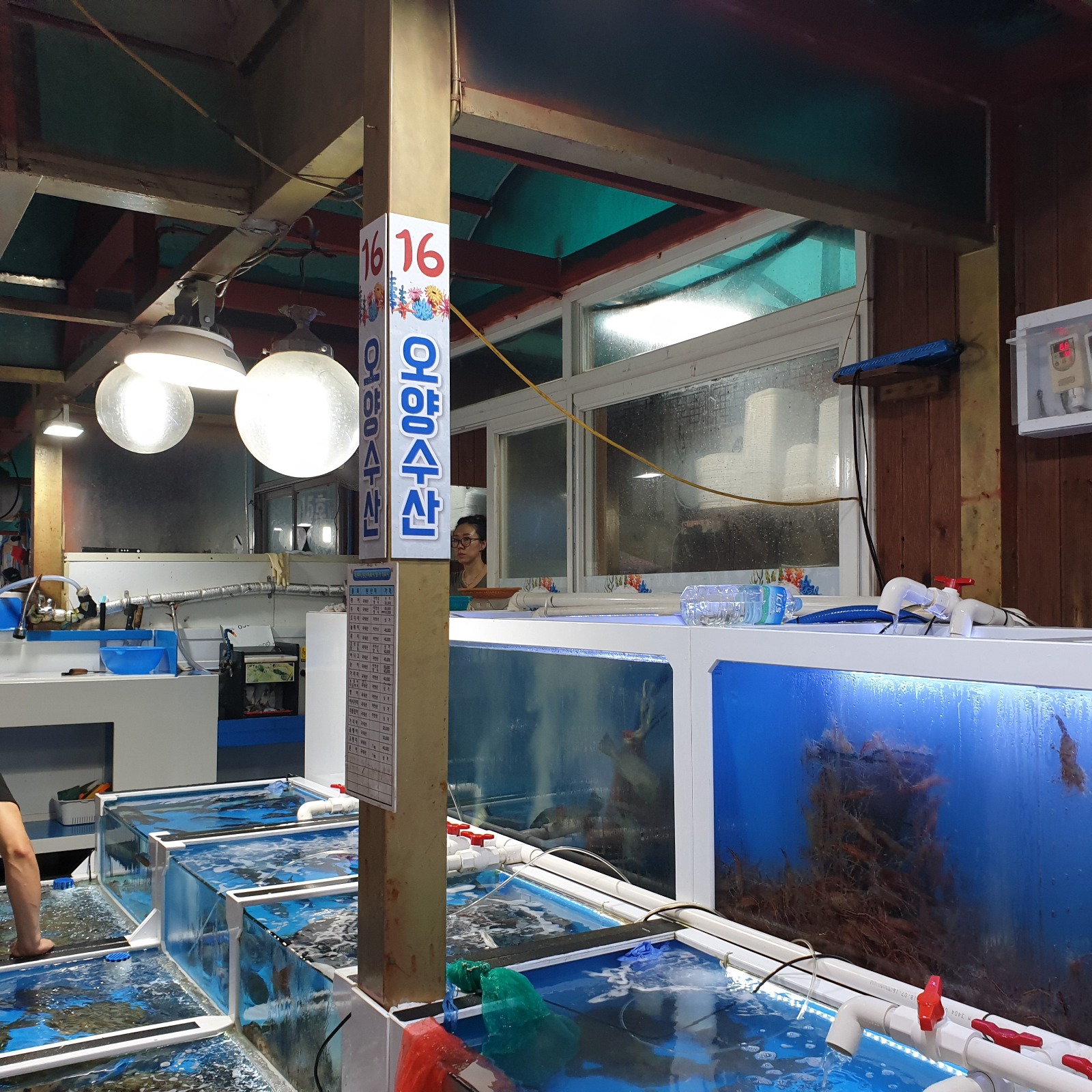 [삼척 맛집 삼척항활어회센타] 직접 가본 로컬 리뷰