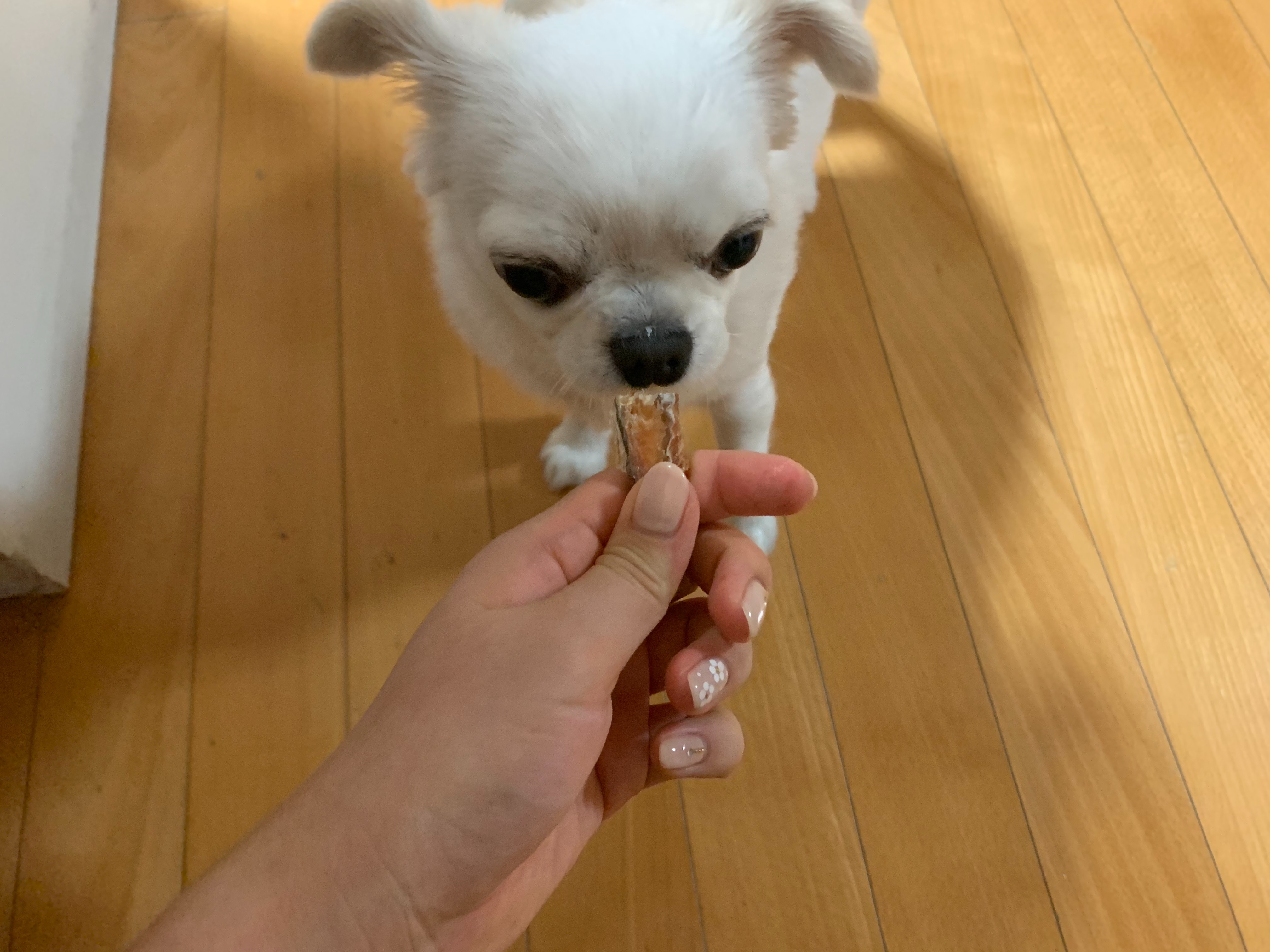 리뷰 사진 1