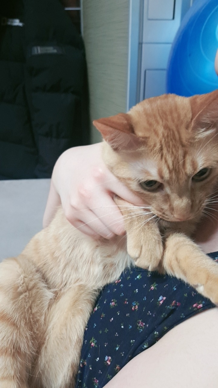 오거리동물병원 사진 2
