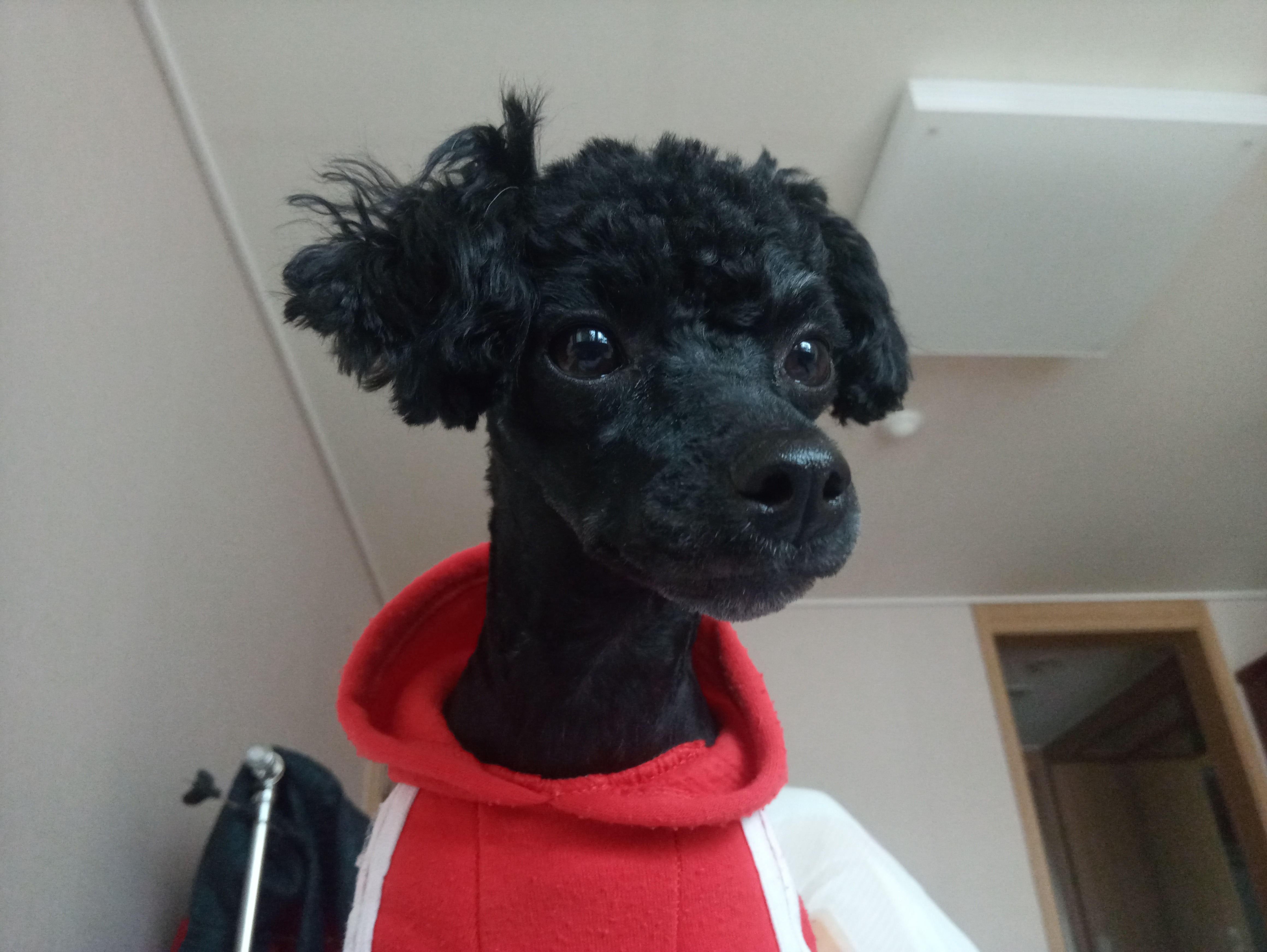 리뷰 사진 1