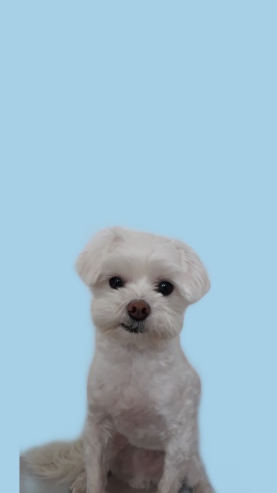 넬 동물의료센터 사진 2