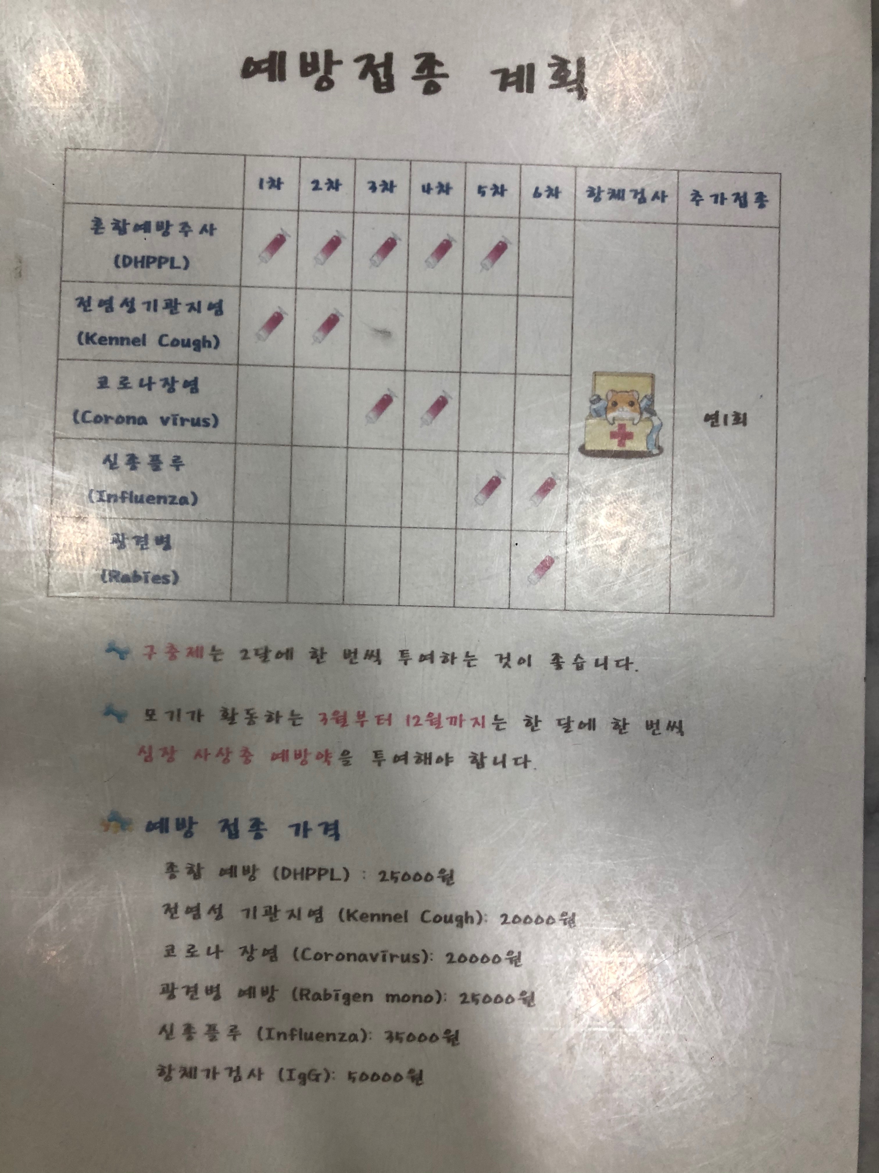 리뷰 사진 1