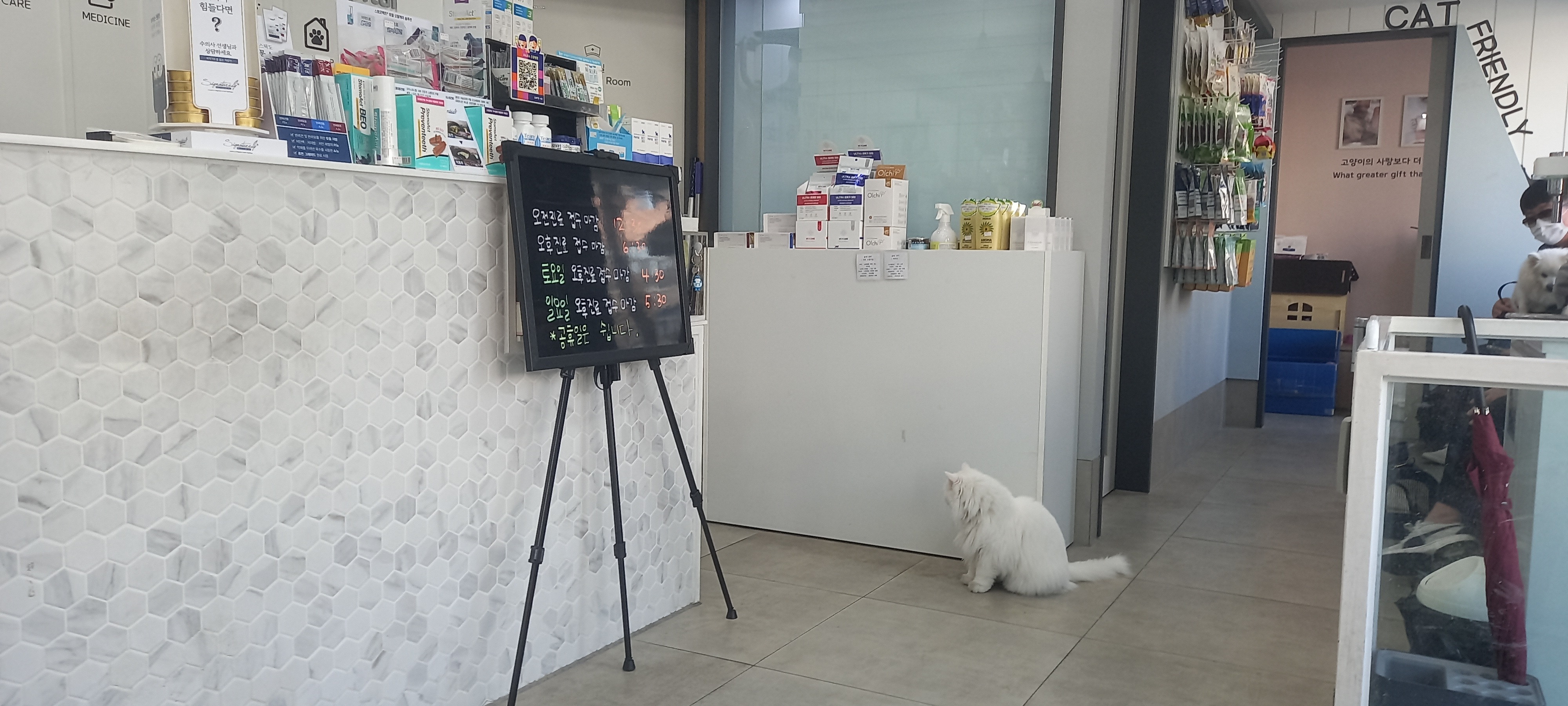 리뷰 사진 4