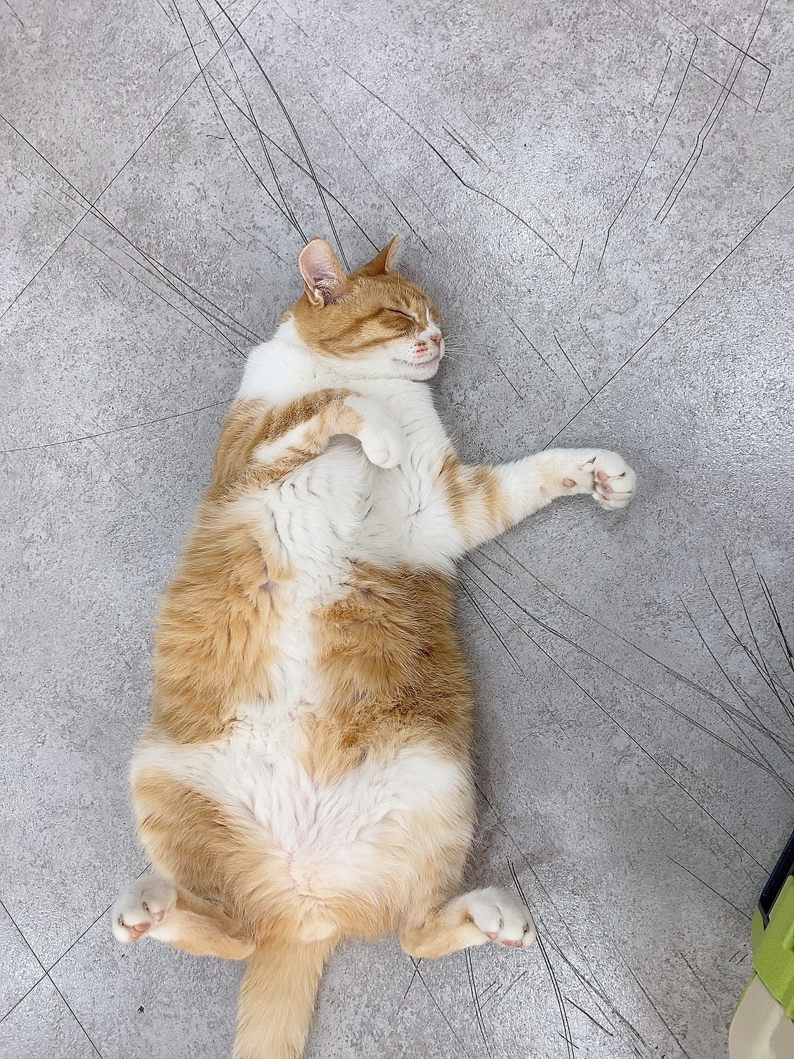 리뷰 사진 2