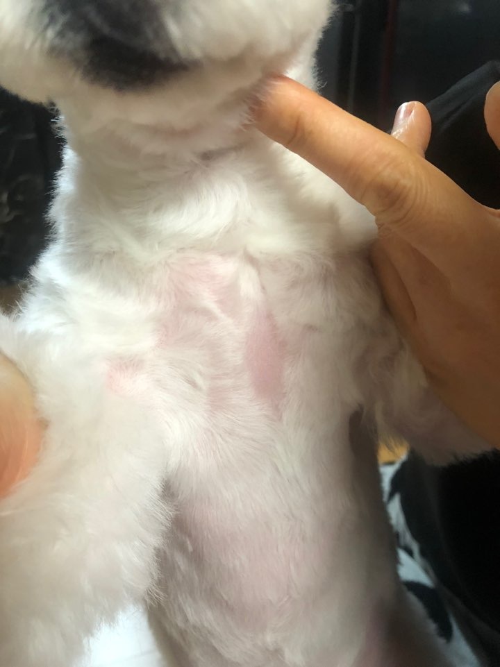 리뷰 사진 1