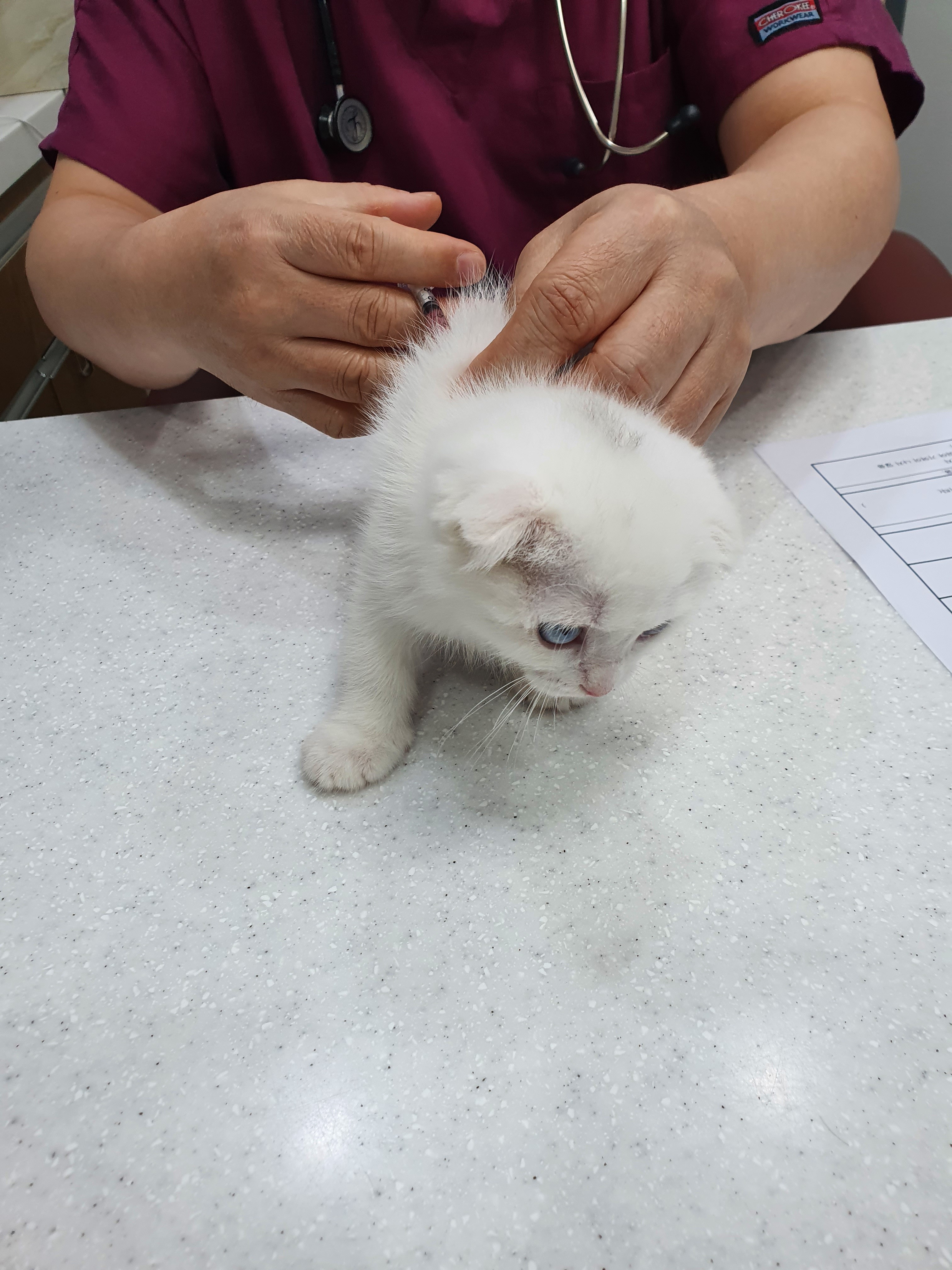 리뷰 사진 3