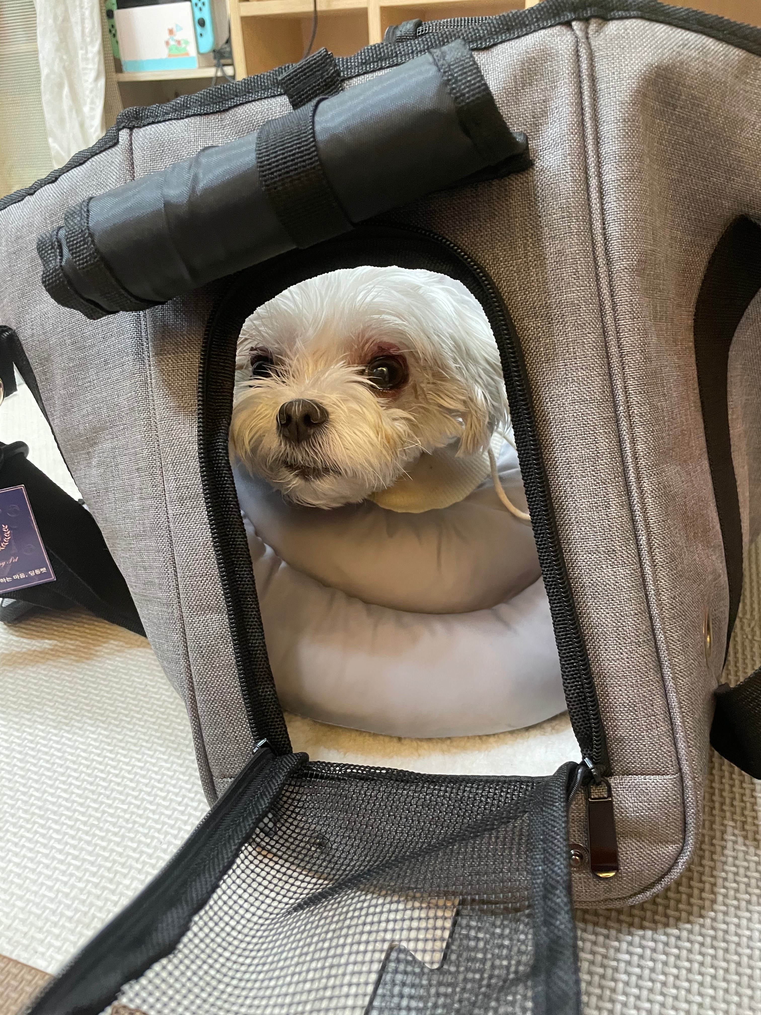 리뷰 사진 3