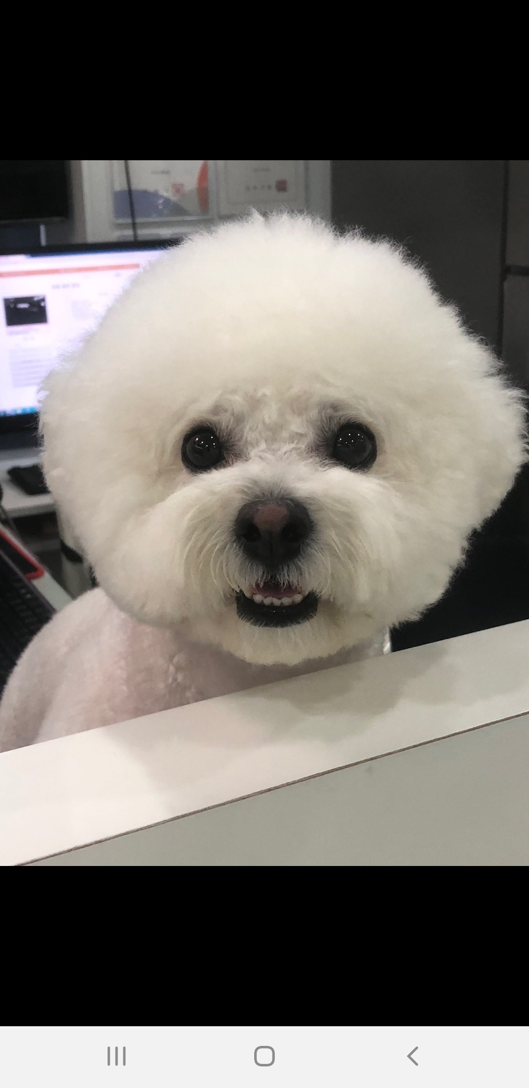 리뷰 사진 1