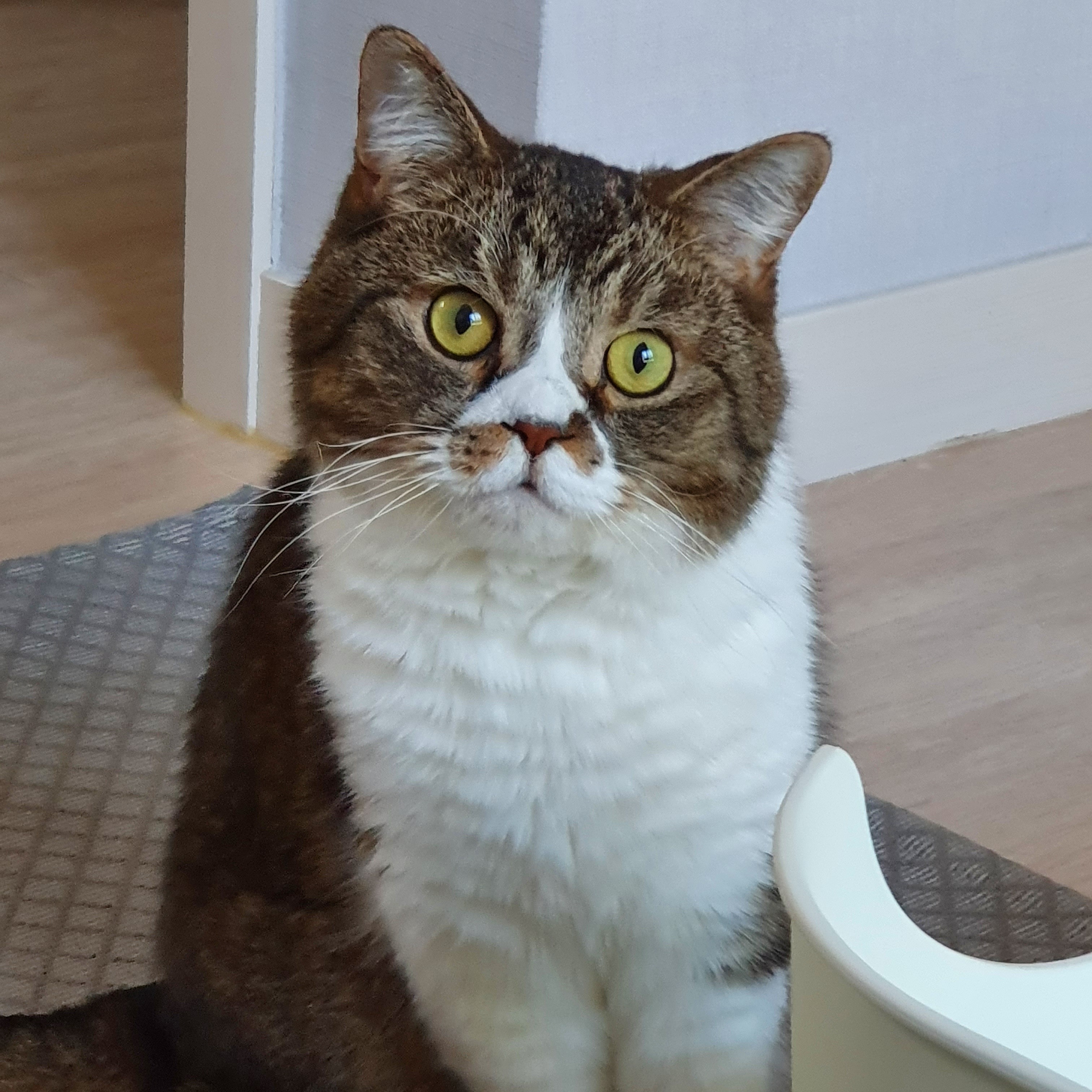 리뷰 사진 1