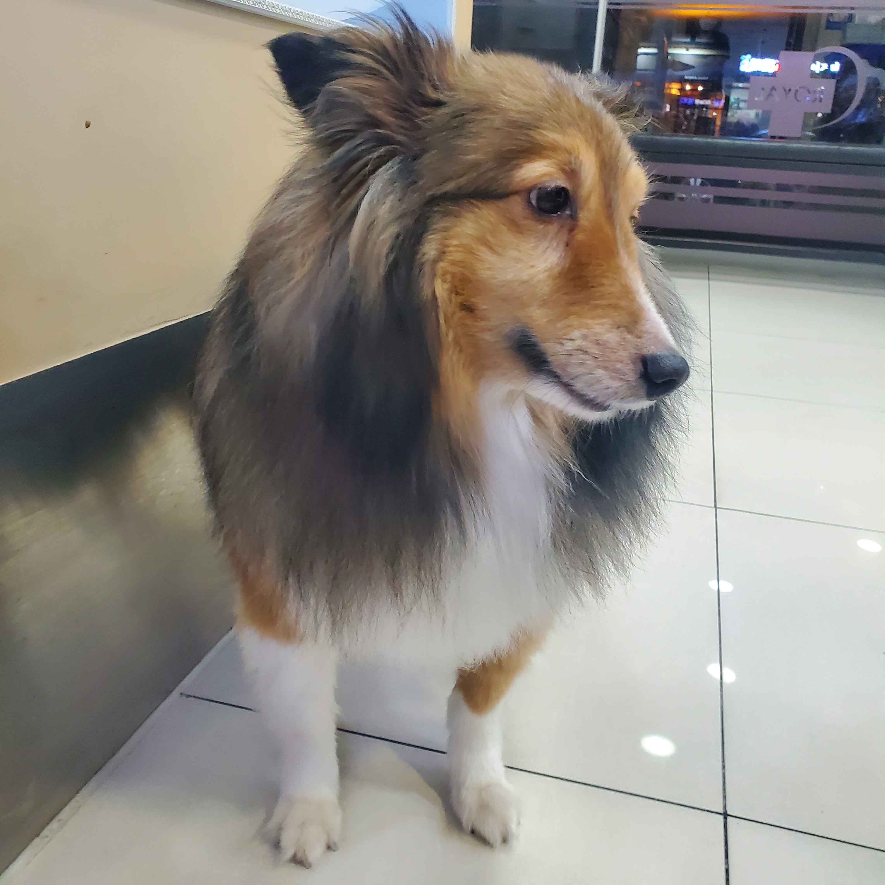 리뷰 사진 3